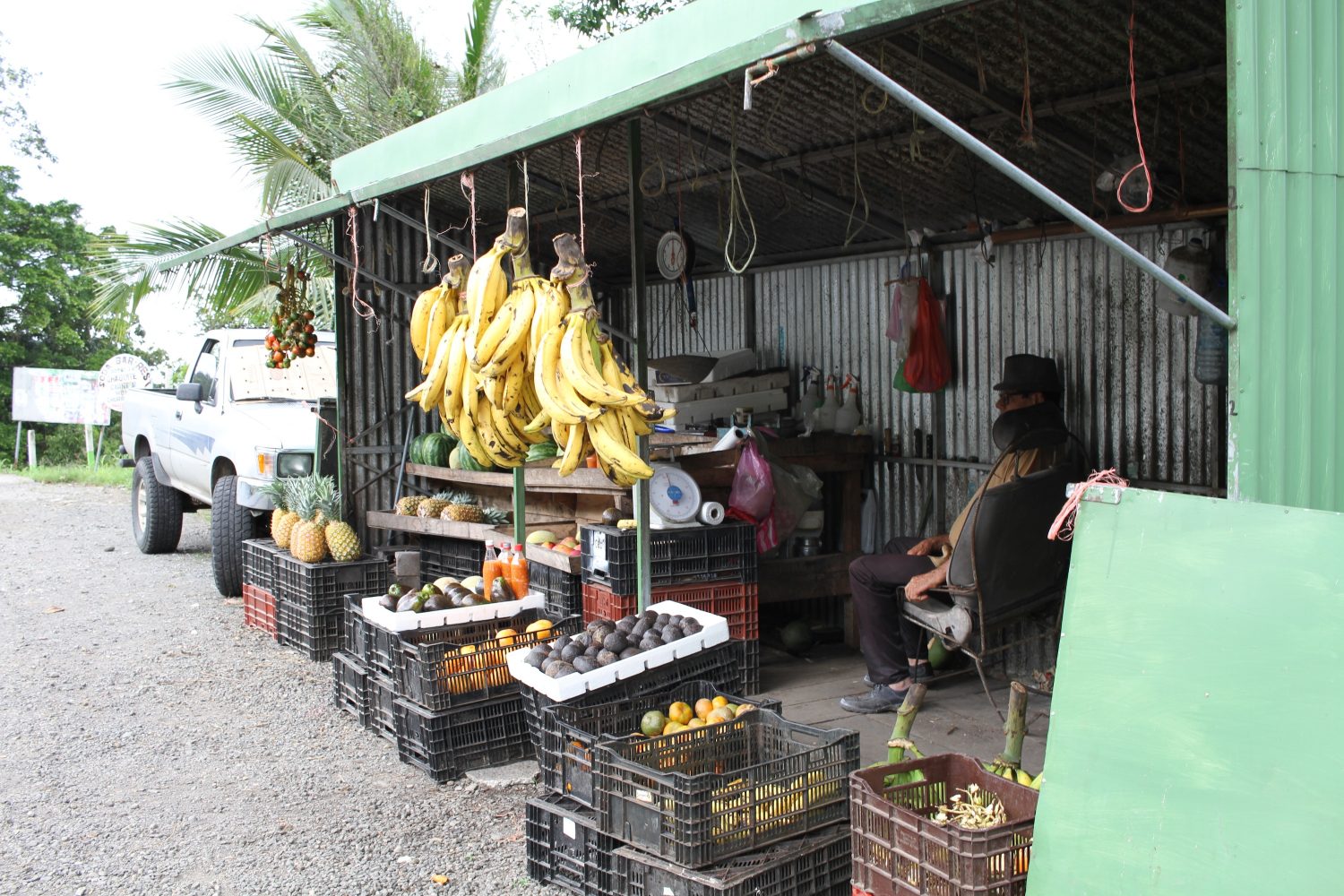 Vendeur de fruits au Costa Rica