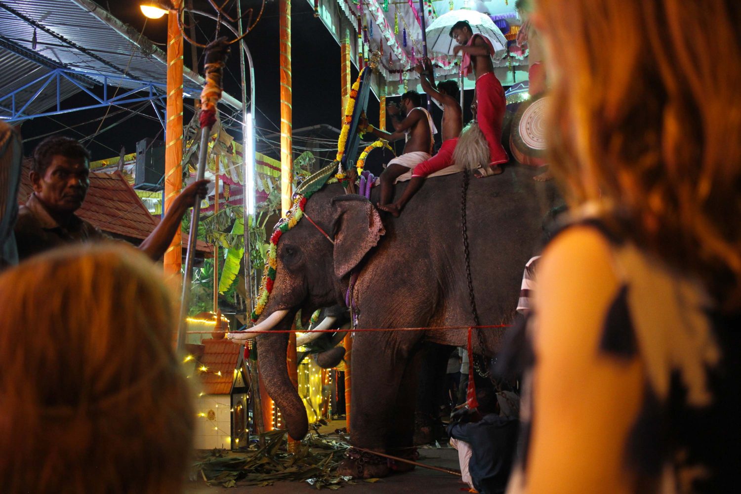 cochin fête hindou éléphants 