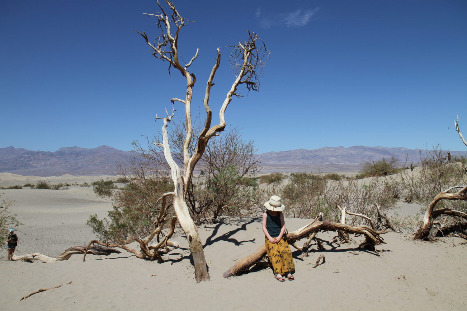 mesquite flat death valley 