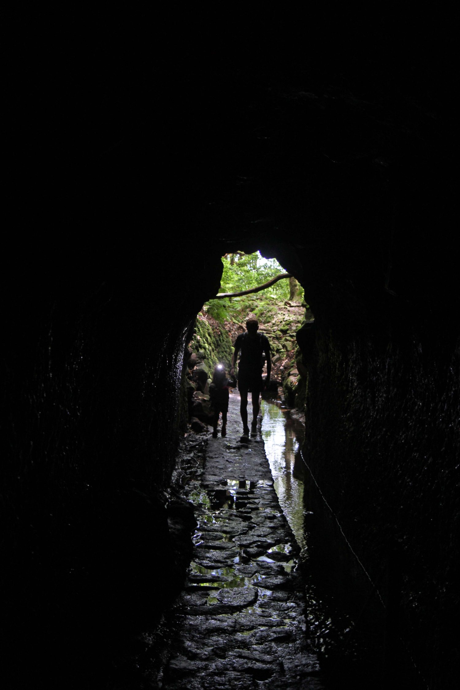 Madère randonnée du Caldeirao Verde tunnel 