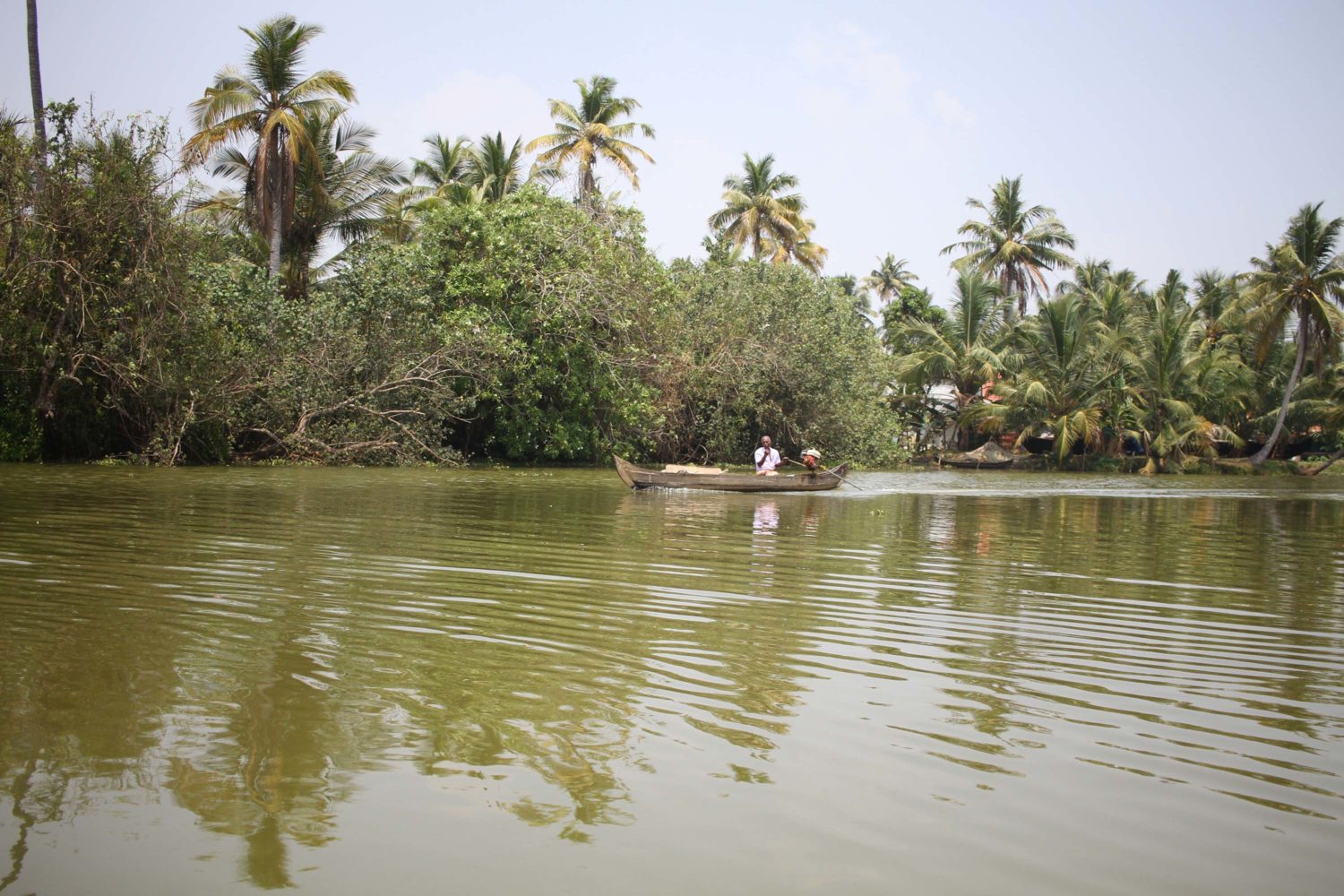 kerala backwaters Kumarakom 