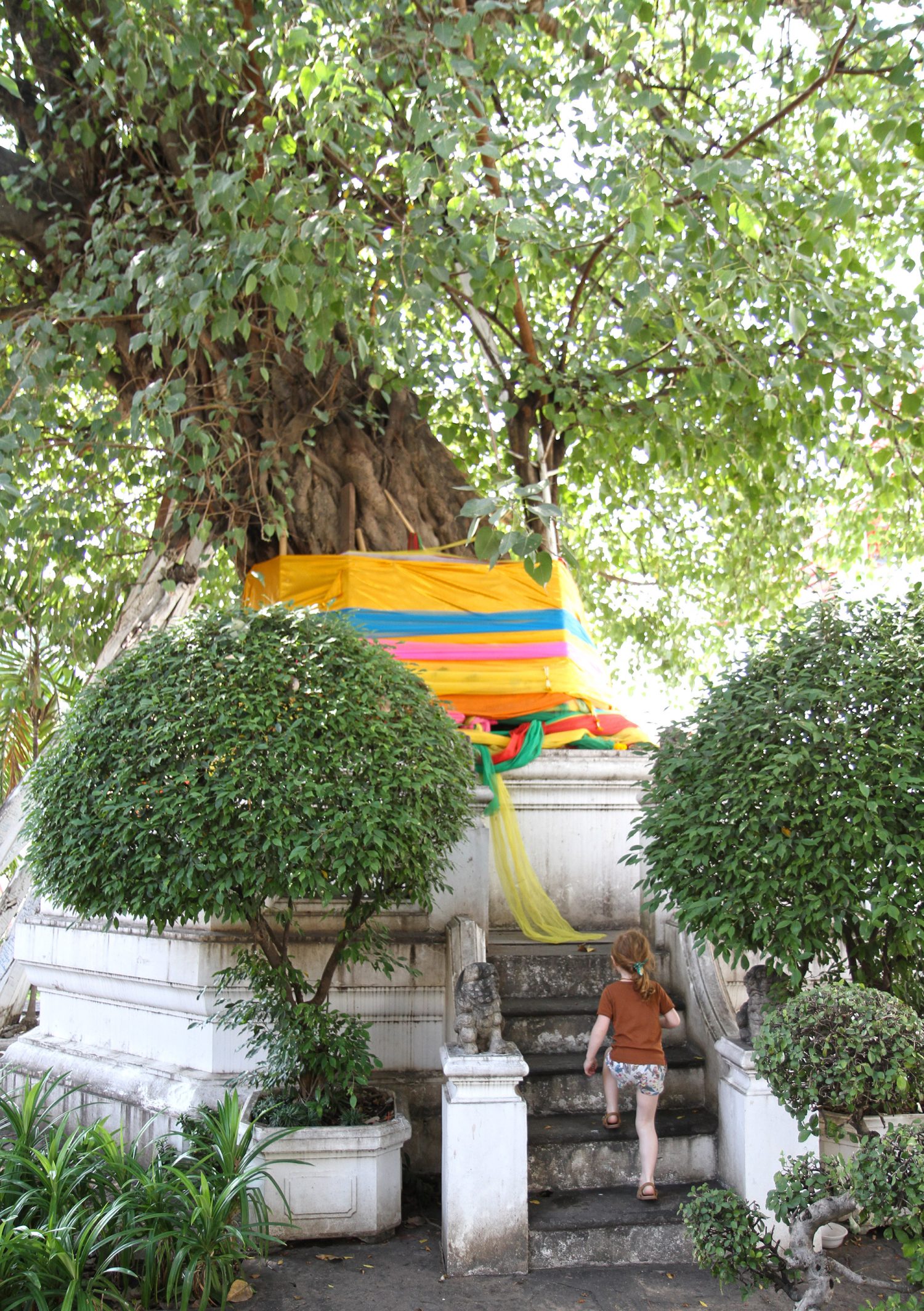 Temple Wat Pho Bangkok