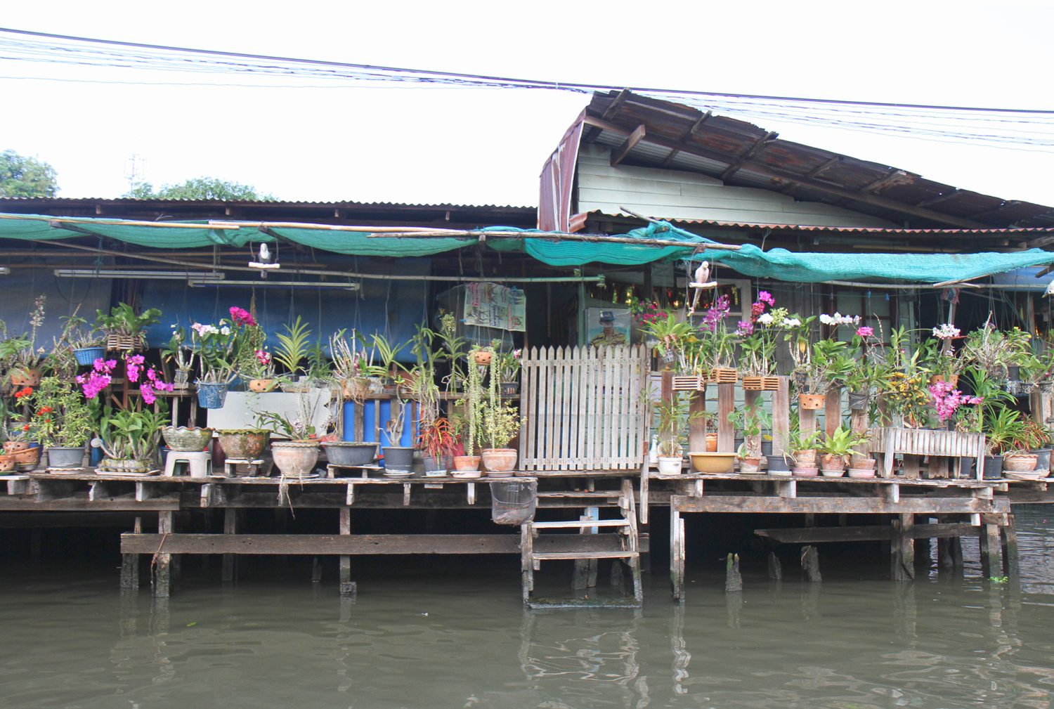 Maisons sur l'eau : les klongs de Bangkok