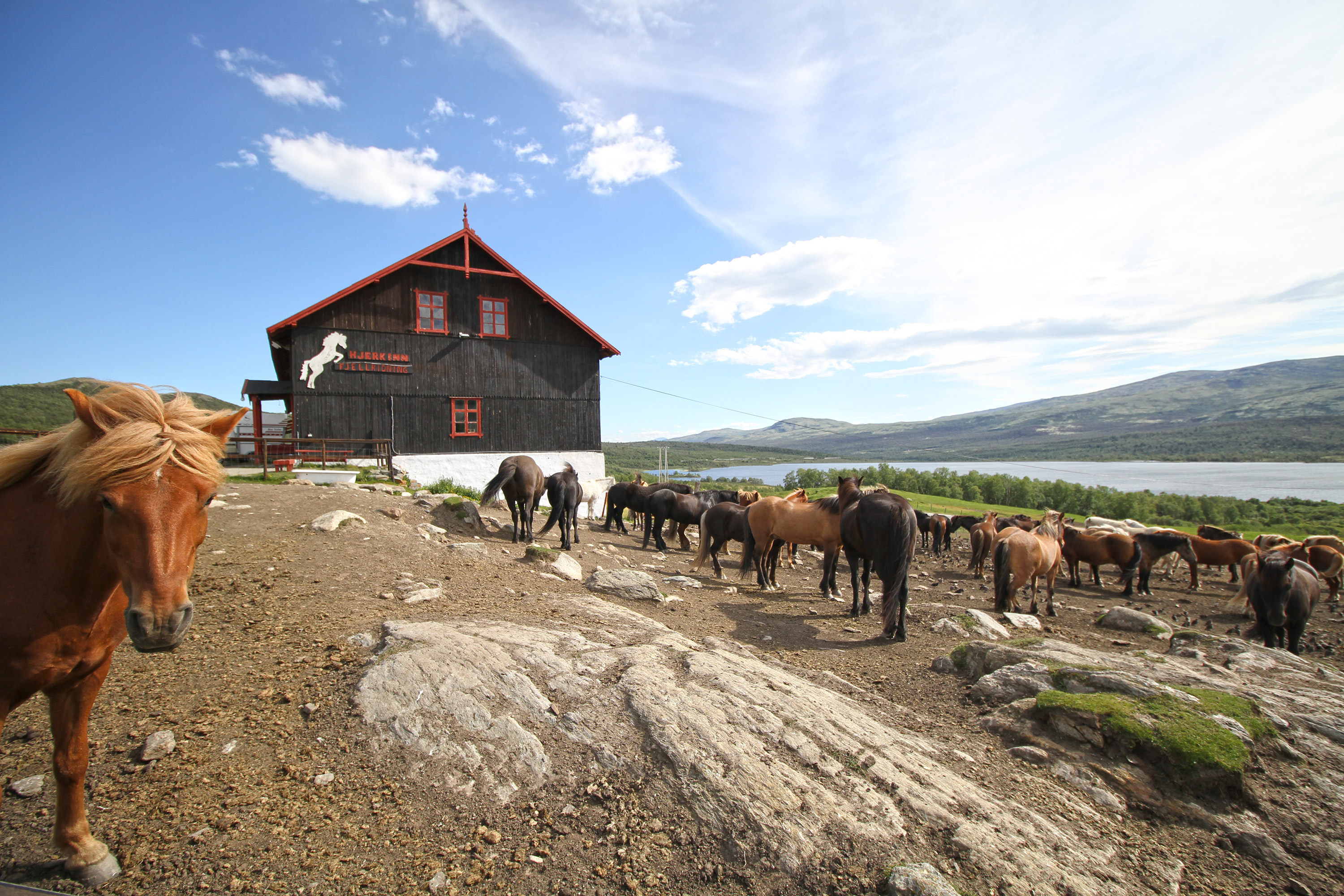 Hjerkinn camping Norvège