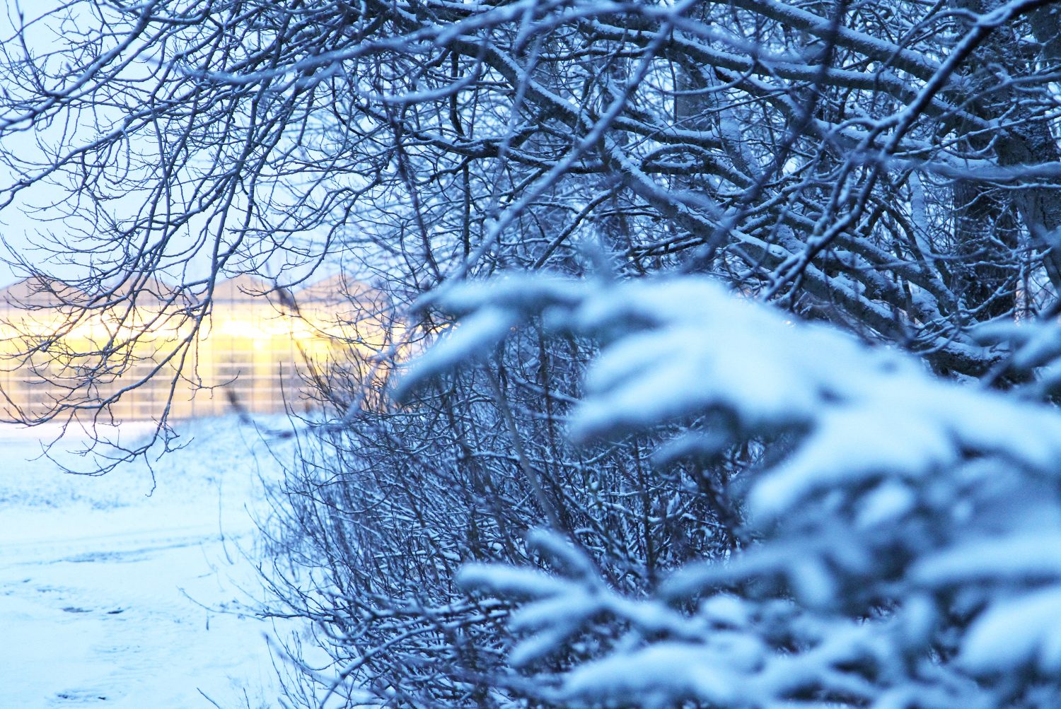 paysage en hiver en islande