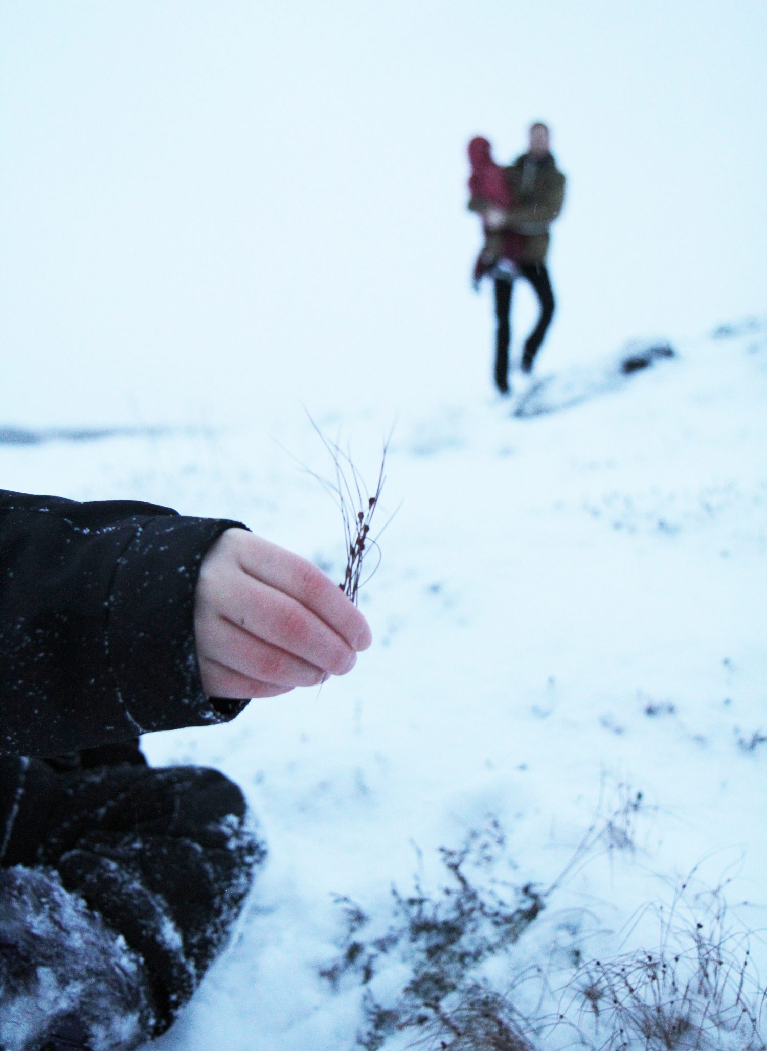 neige en islande