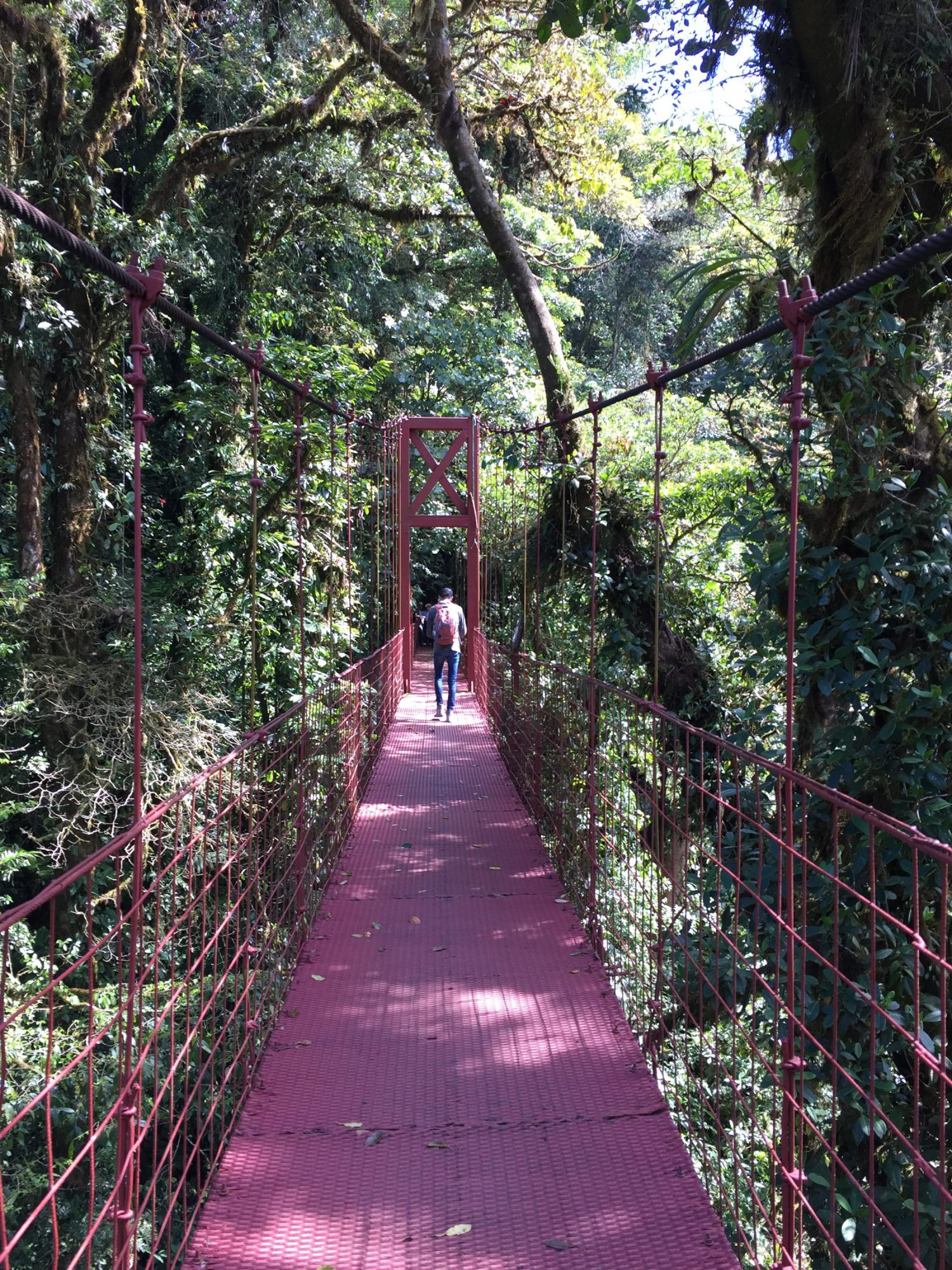 pont suspendu monteverde