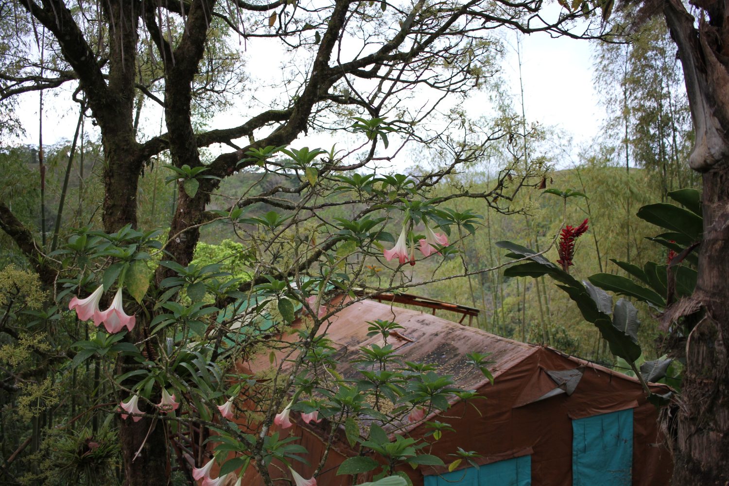 Tente de l'hôtel Essence Arenal au Costa Rica