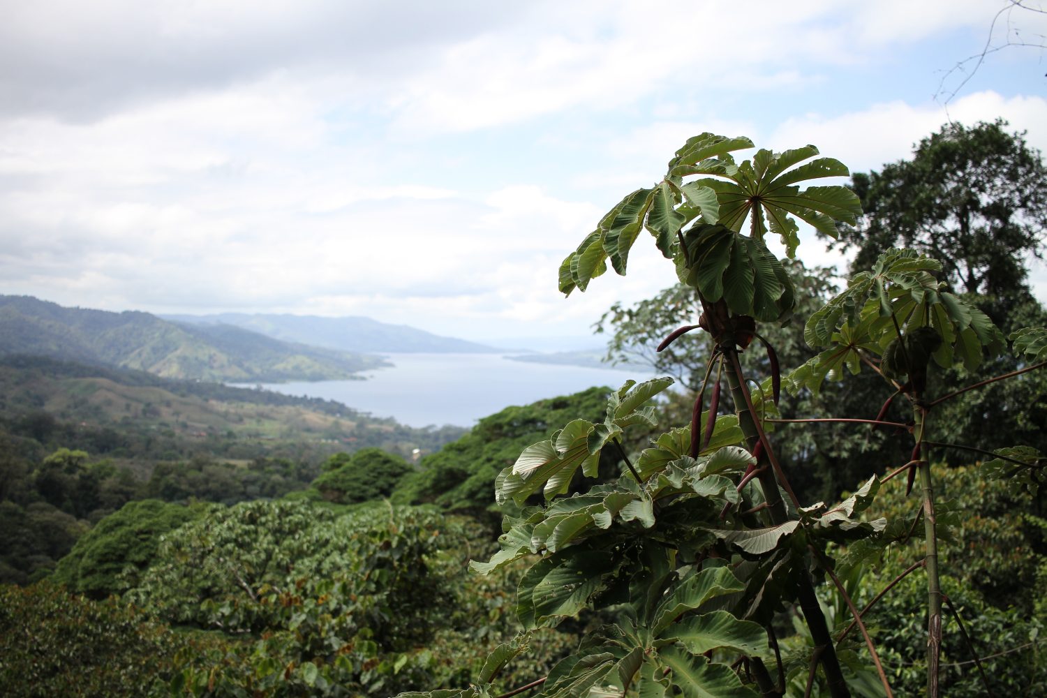 Lac Arenal au Costa Rica