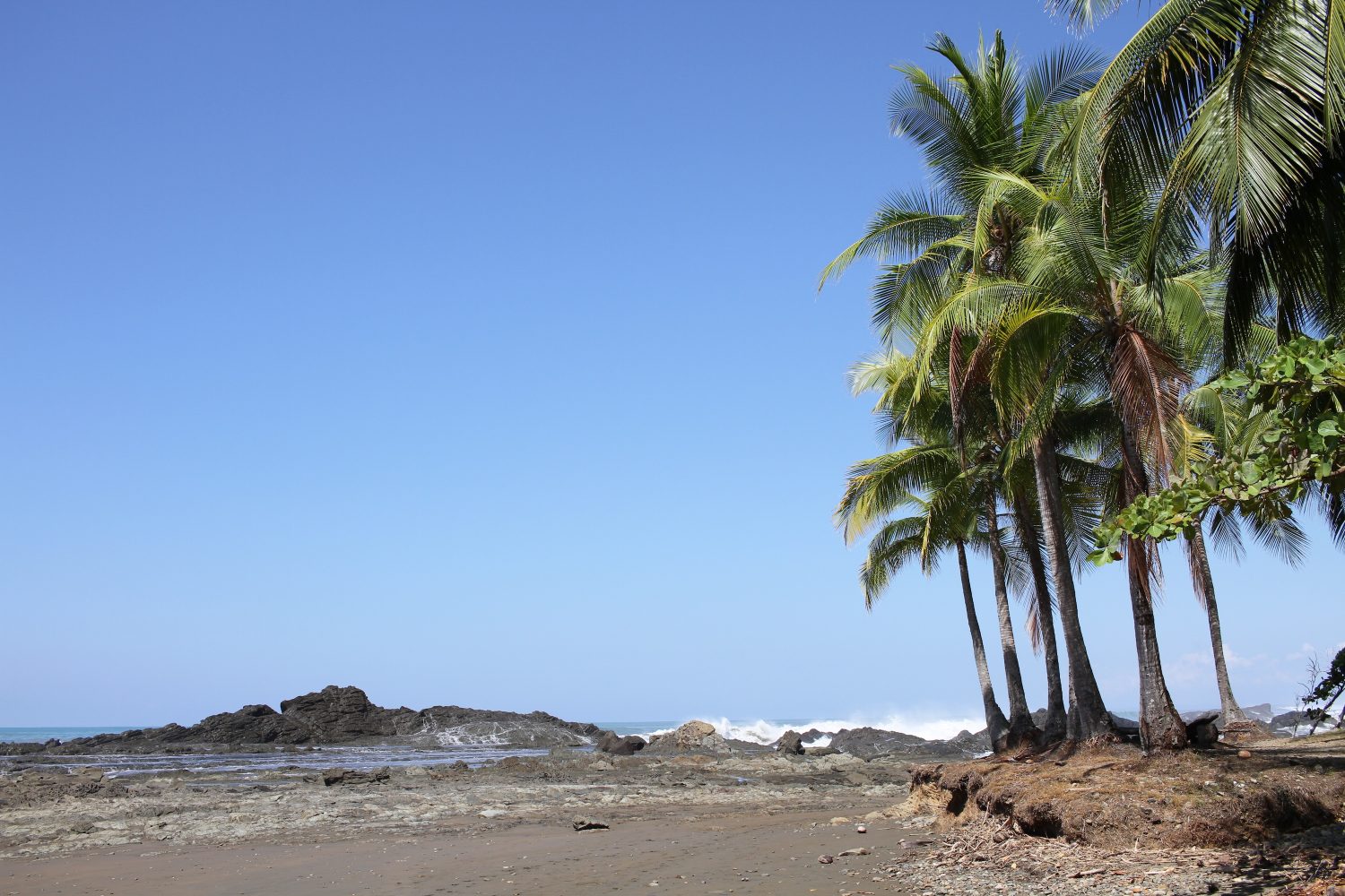 playa dominicalito costa rica