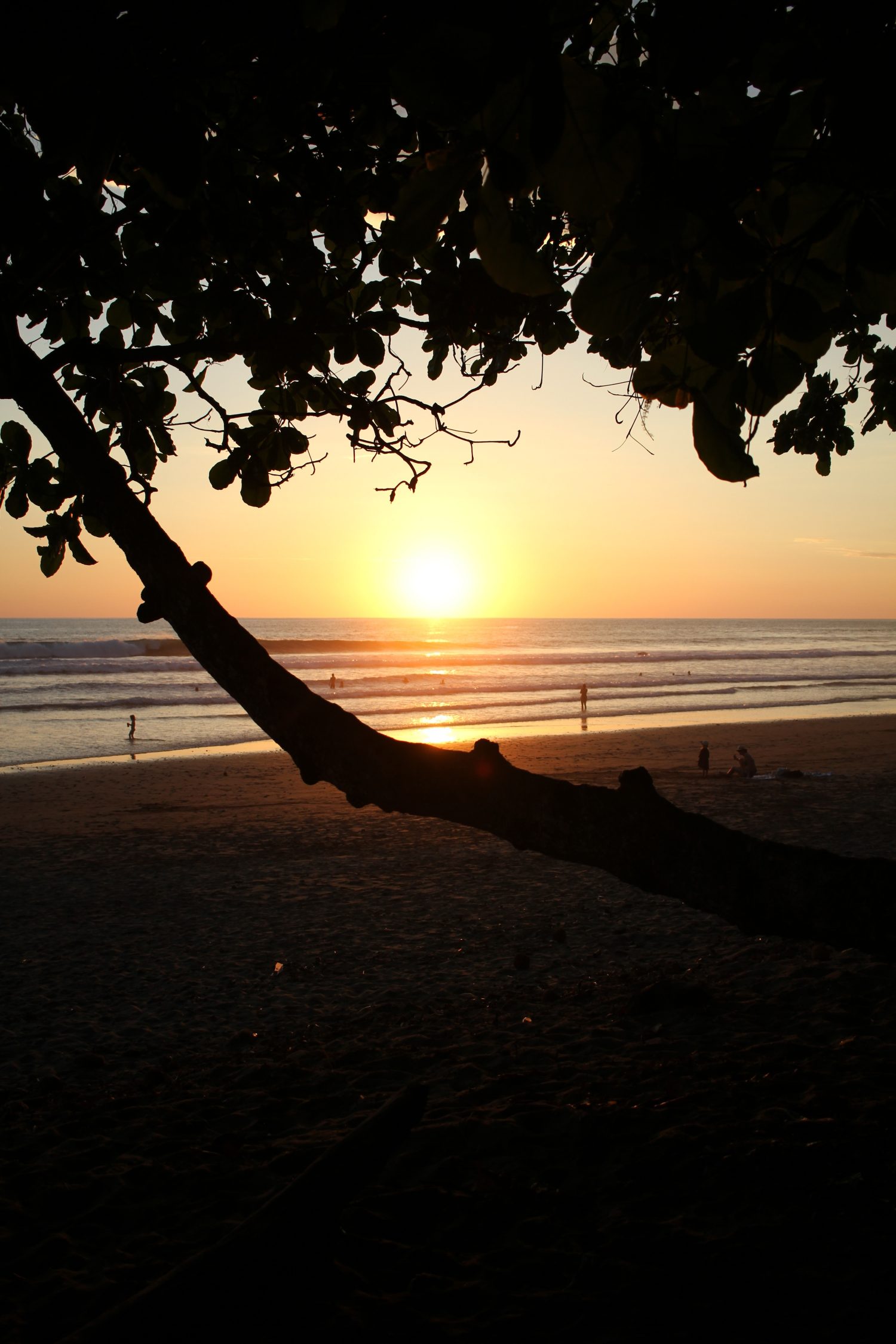 playa hermosa costa rica