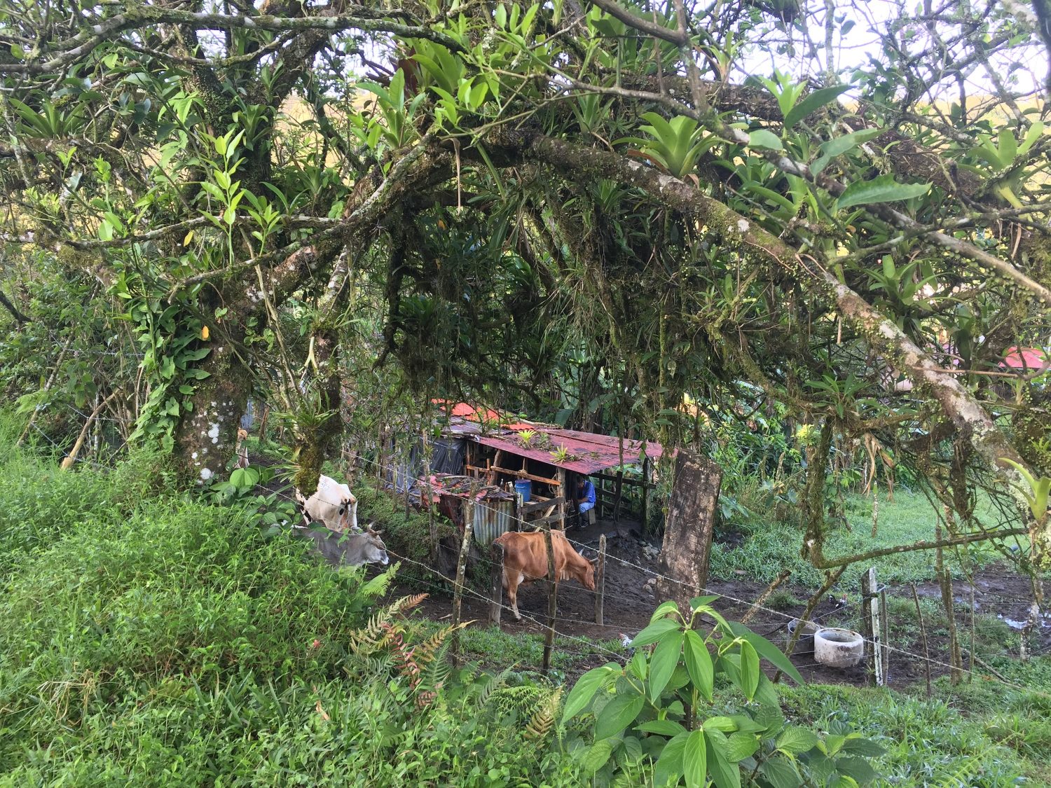 arenal costa rica