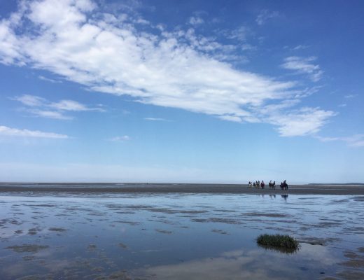 cheval en baie de somme