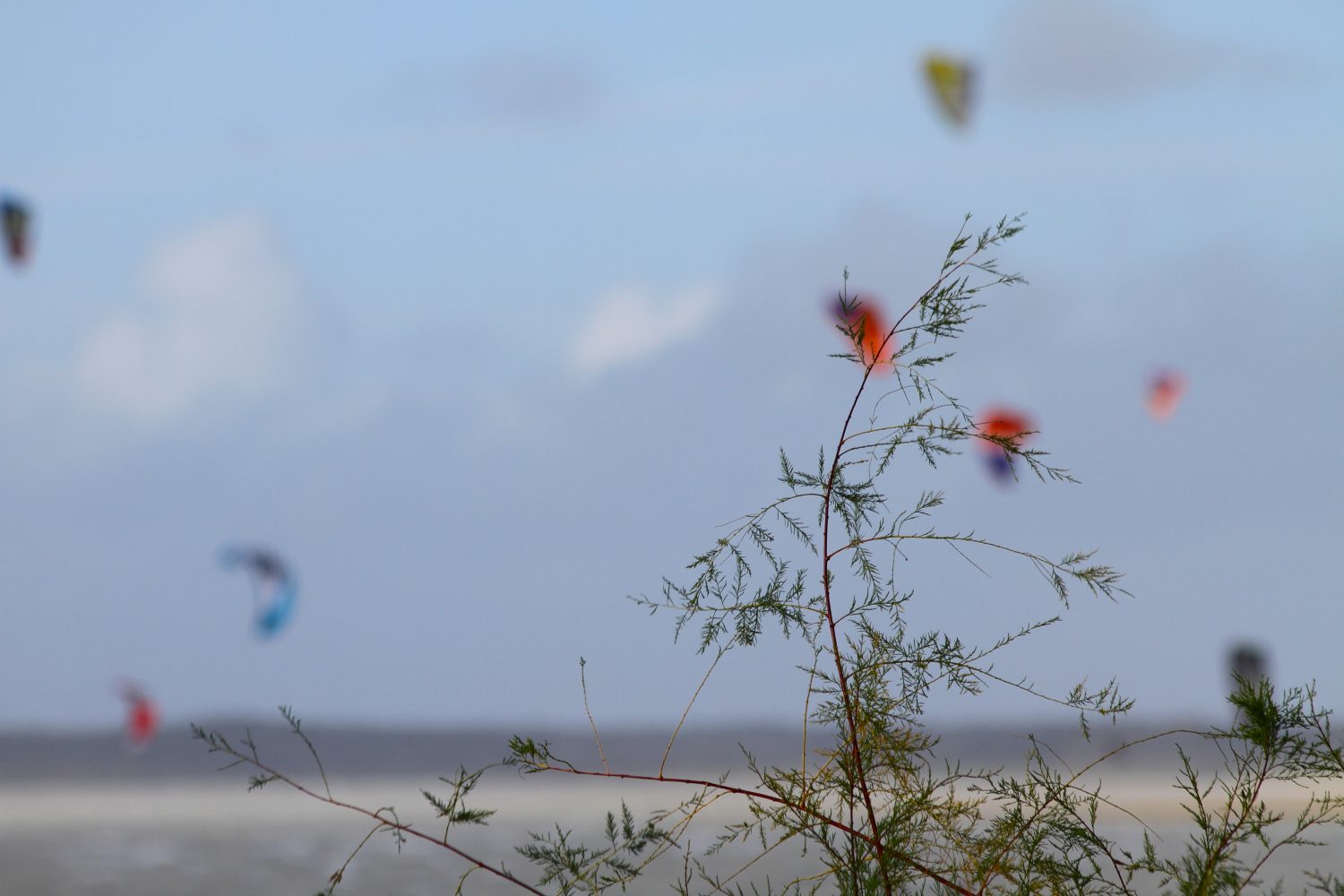 kite en baie de somme