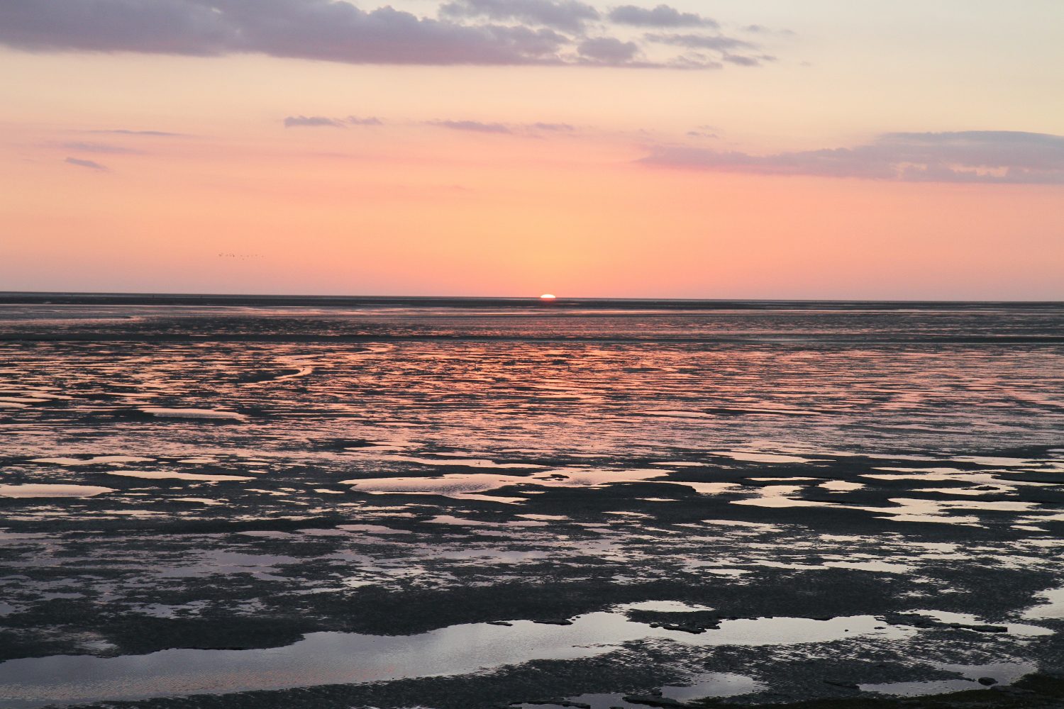 coucher de soleil en baie de somme