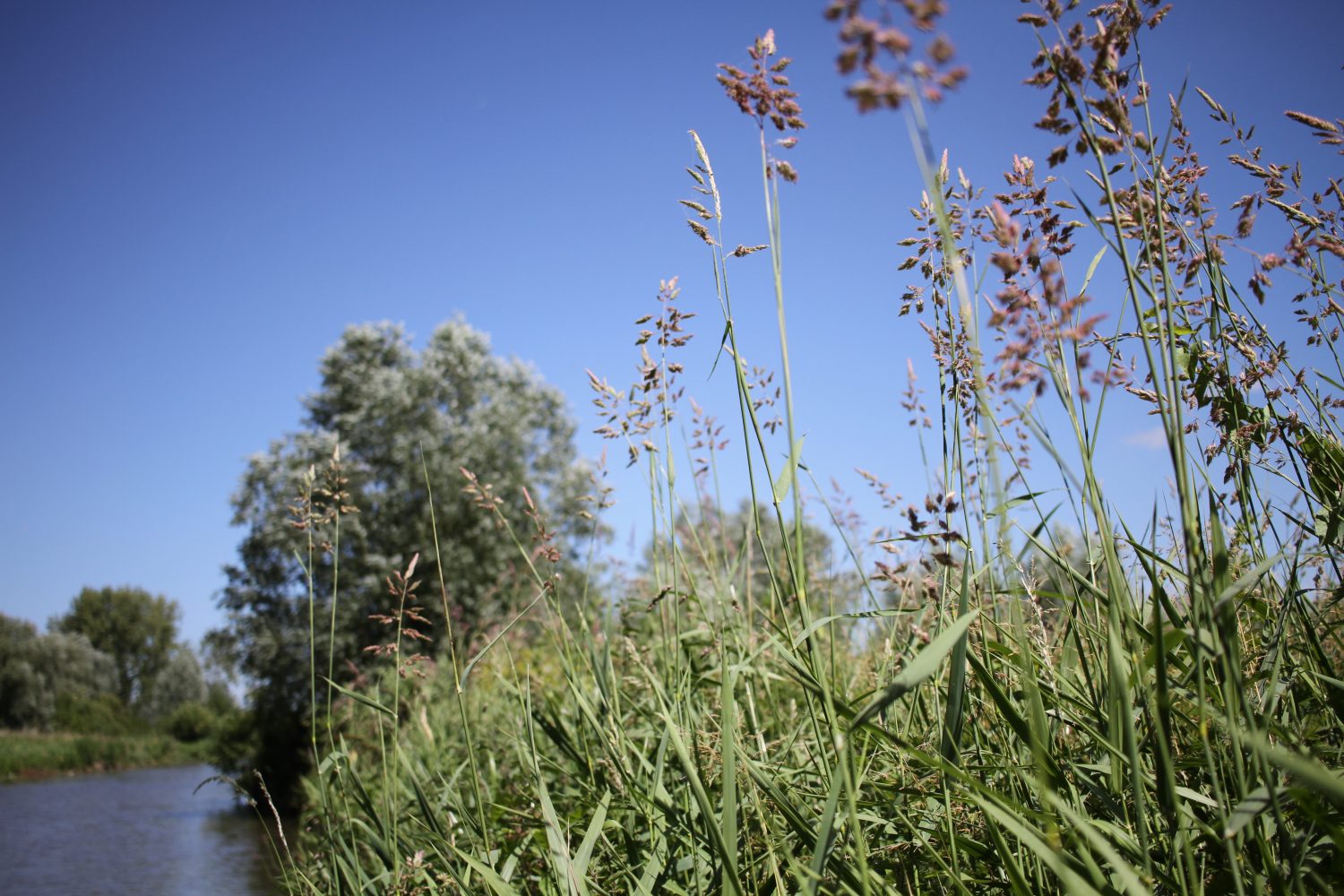 réserve naturelle du romelaere