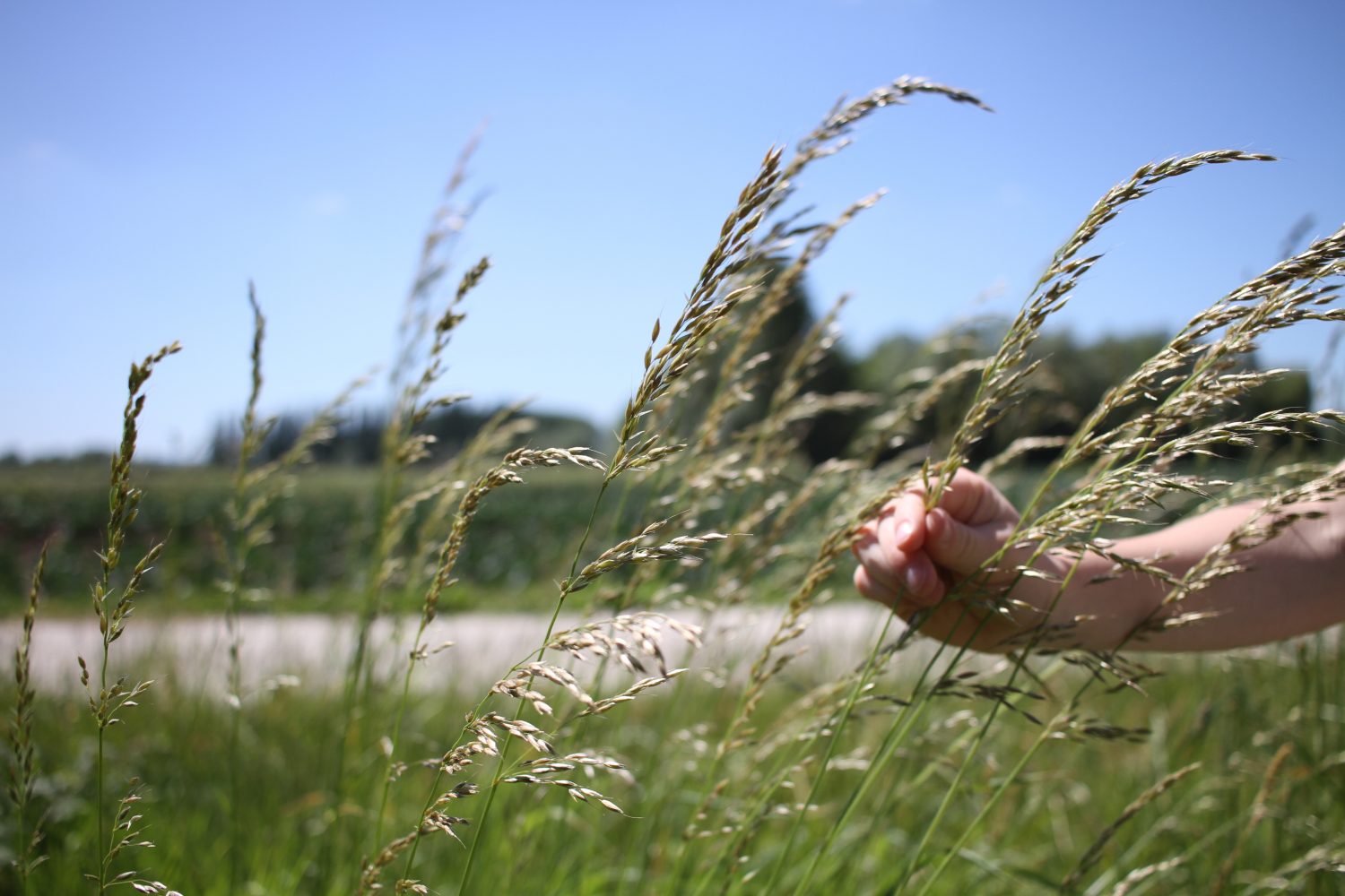 réserve naturelle du romelaere