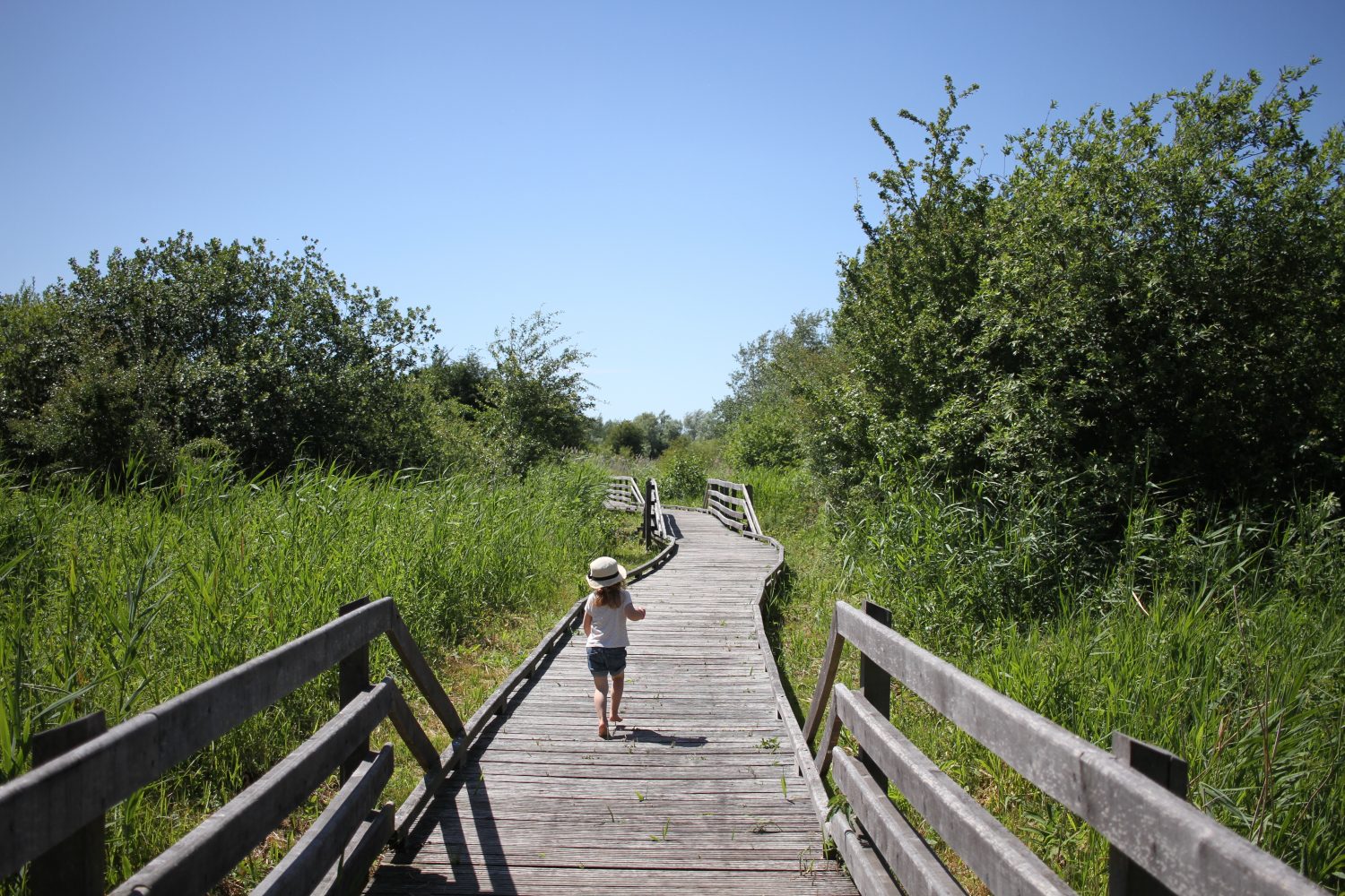 réserve naturelle du romelaere