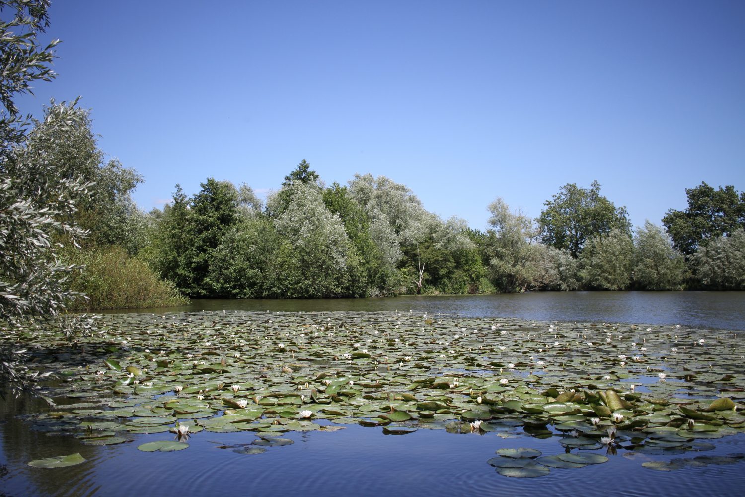 réserve naturelle du romelaere