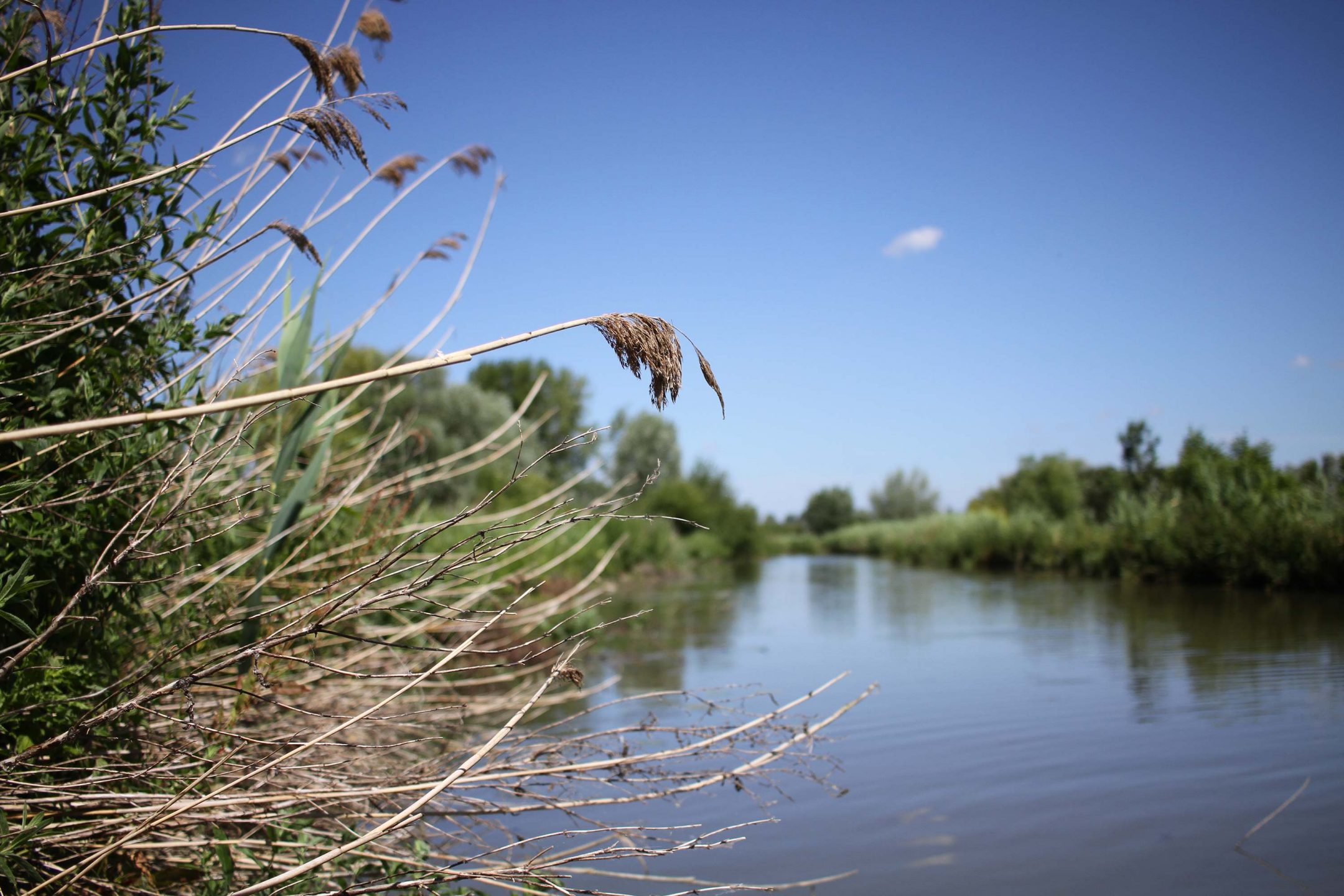 Au fil de l'eau : le marais audomarois