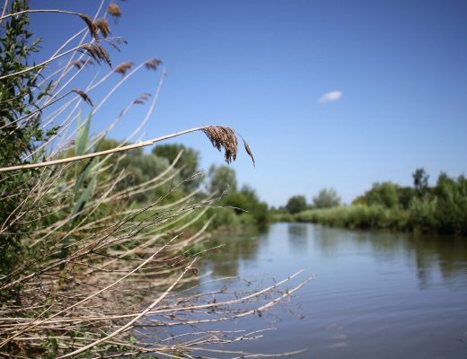 Au fil de l'eau : le marais audomarois