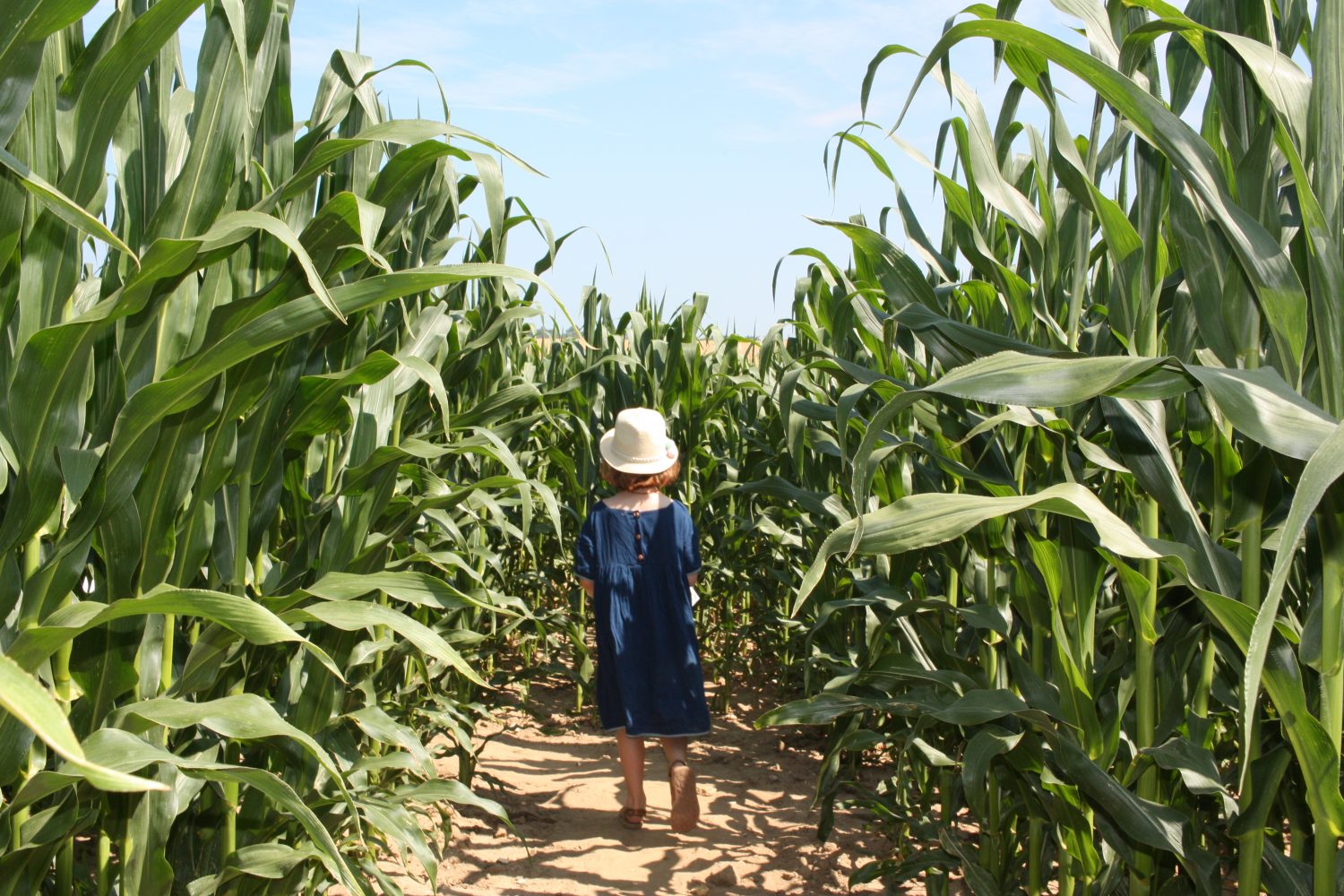 dédales d'opale labyrinthe