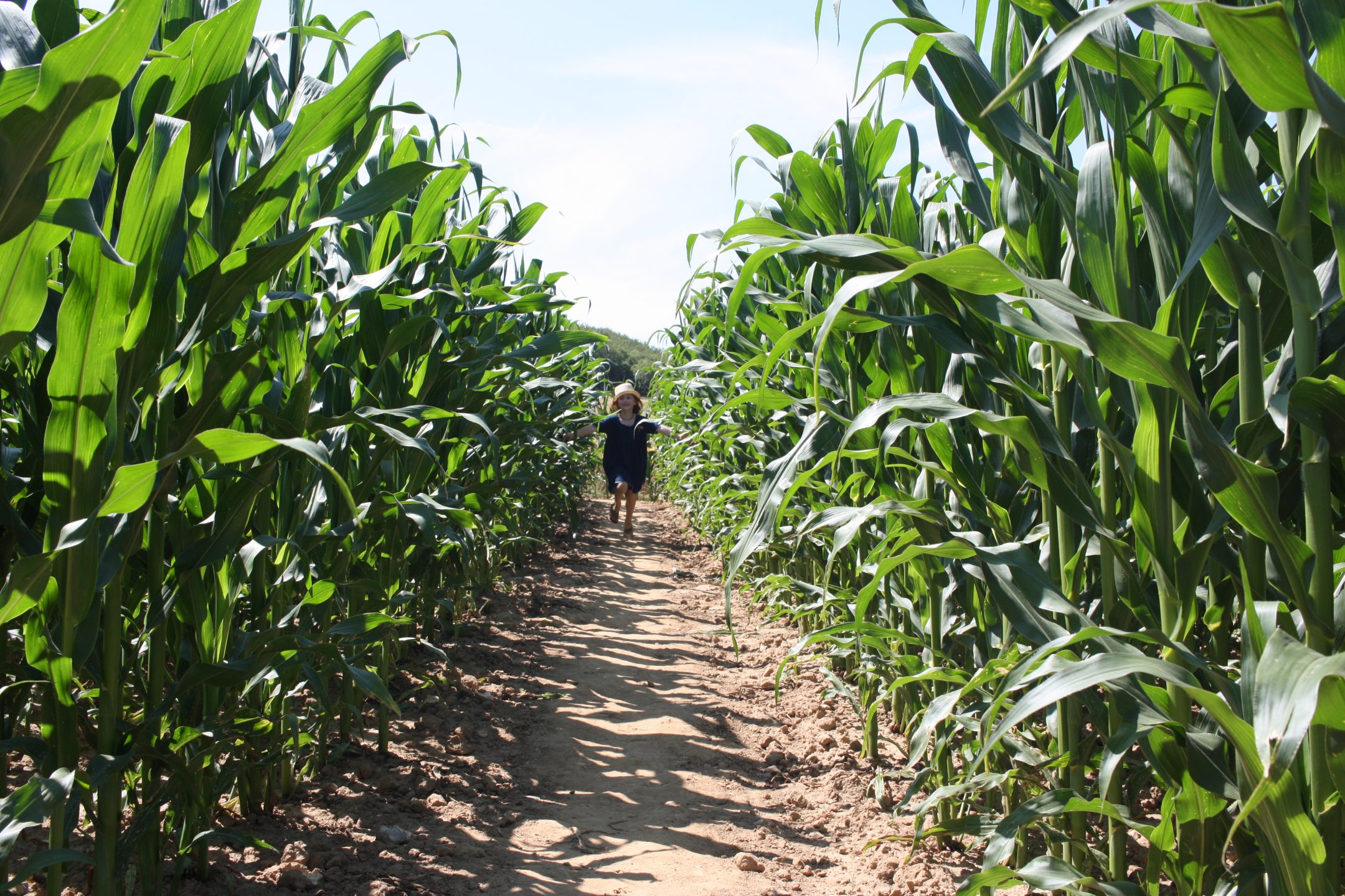 dédales d'opale labyrinthe