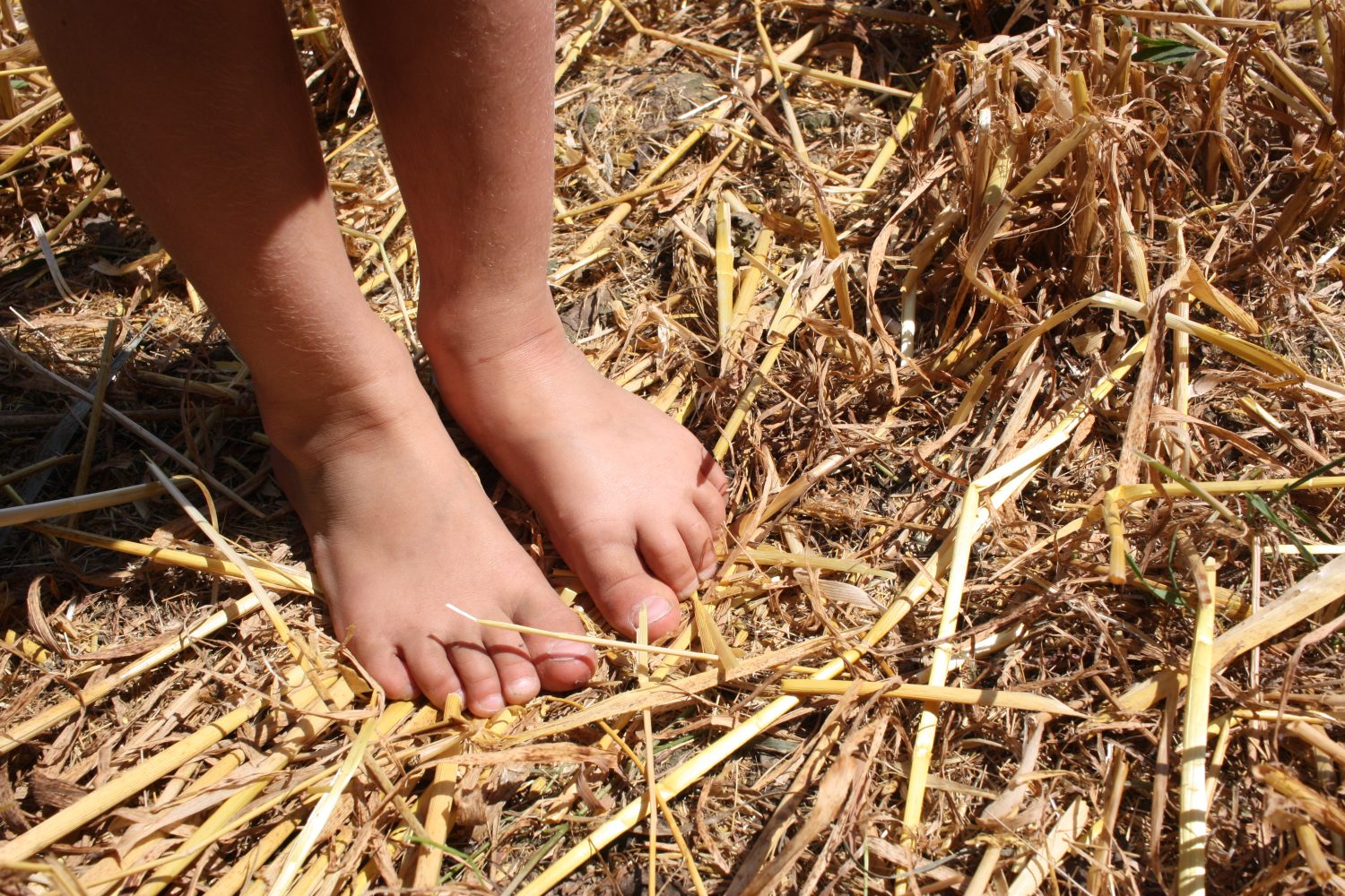 dédales d'opale labyrinthe