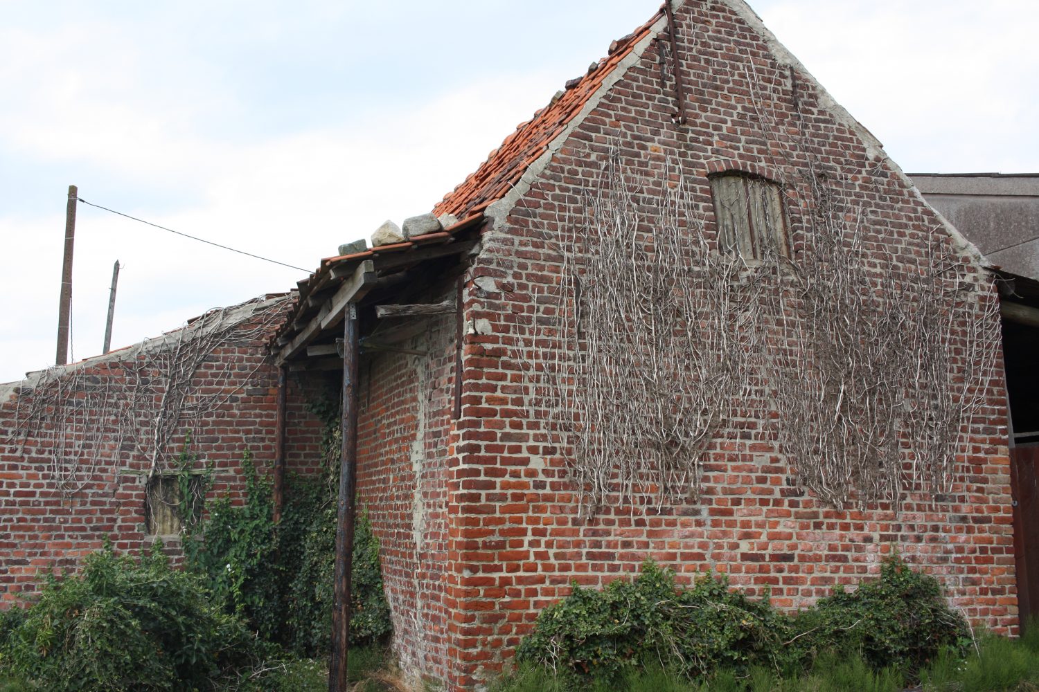 asinerie saint-jans-cappel