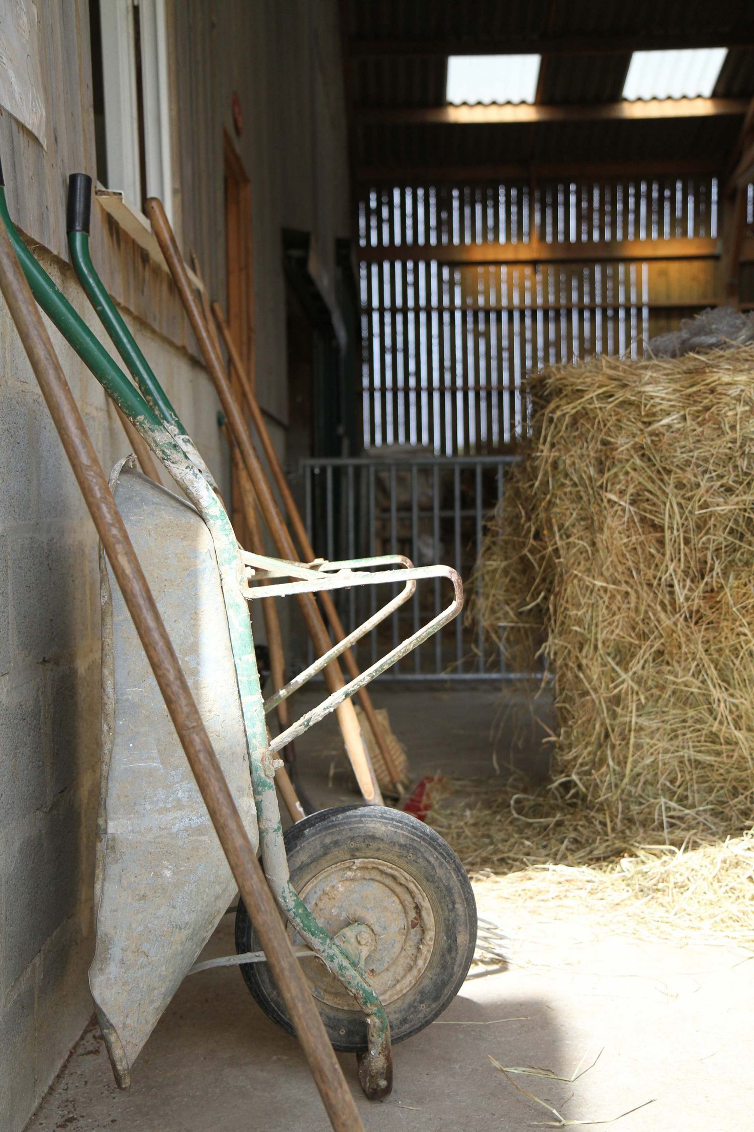 ferme de la Hutte chèvrerie