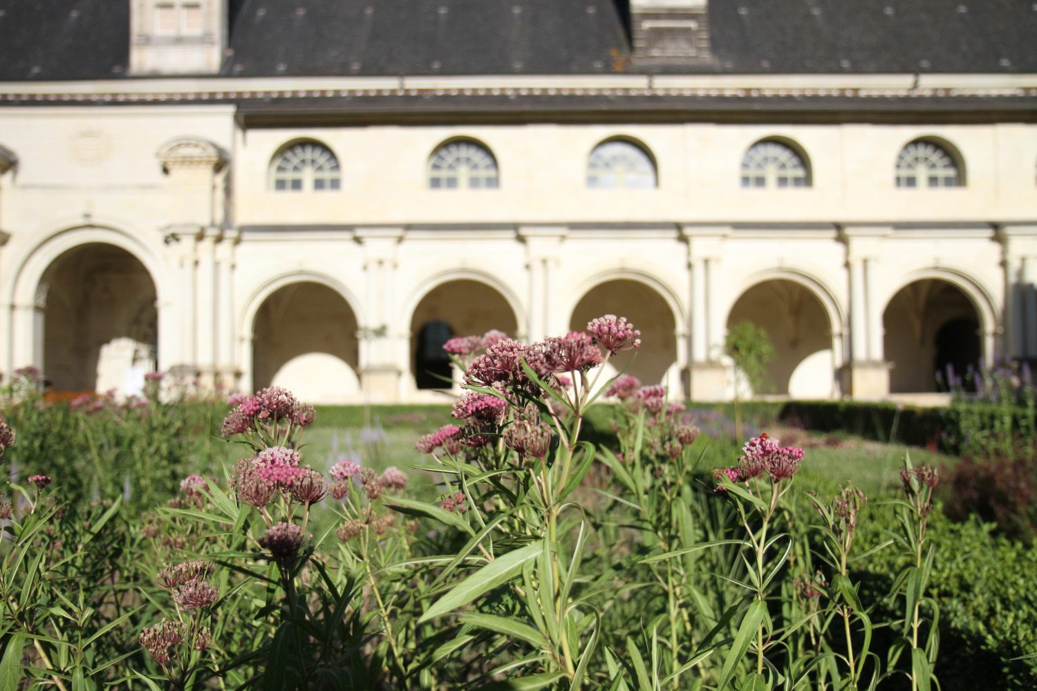 abbaye de fontevraud