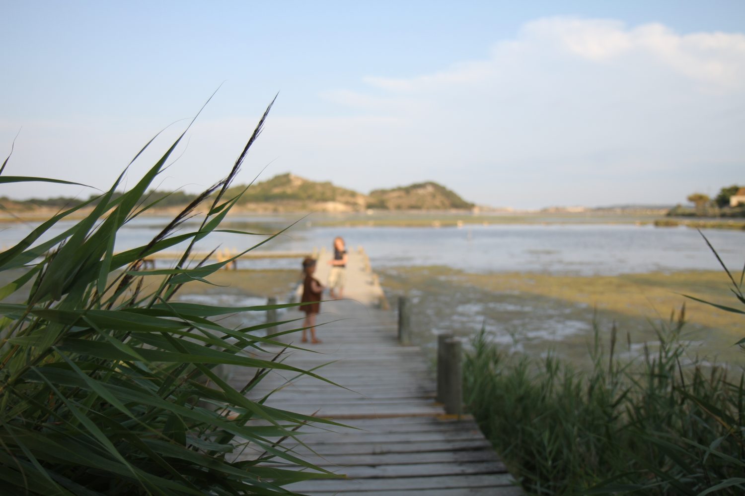 road trip en van à peyriac-de-mer randonnée nature en Occitanie