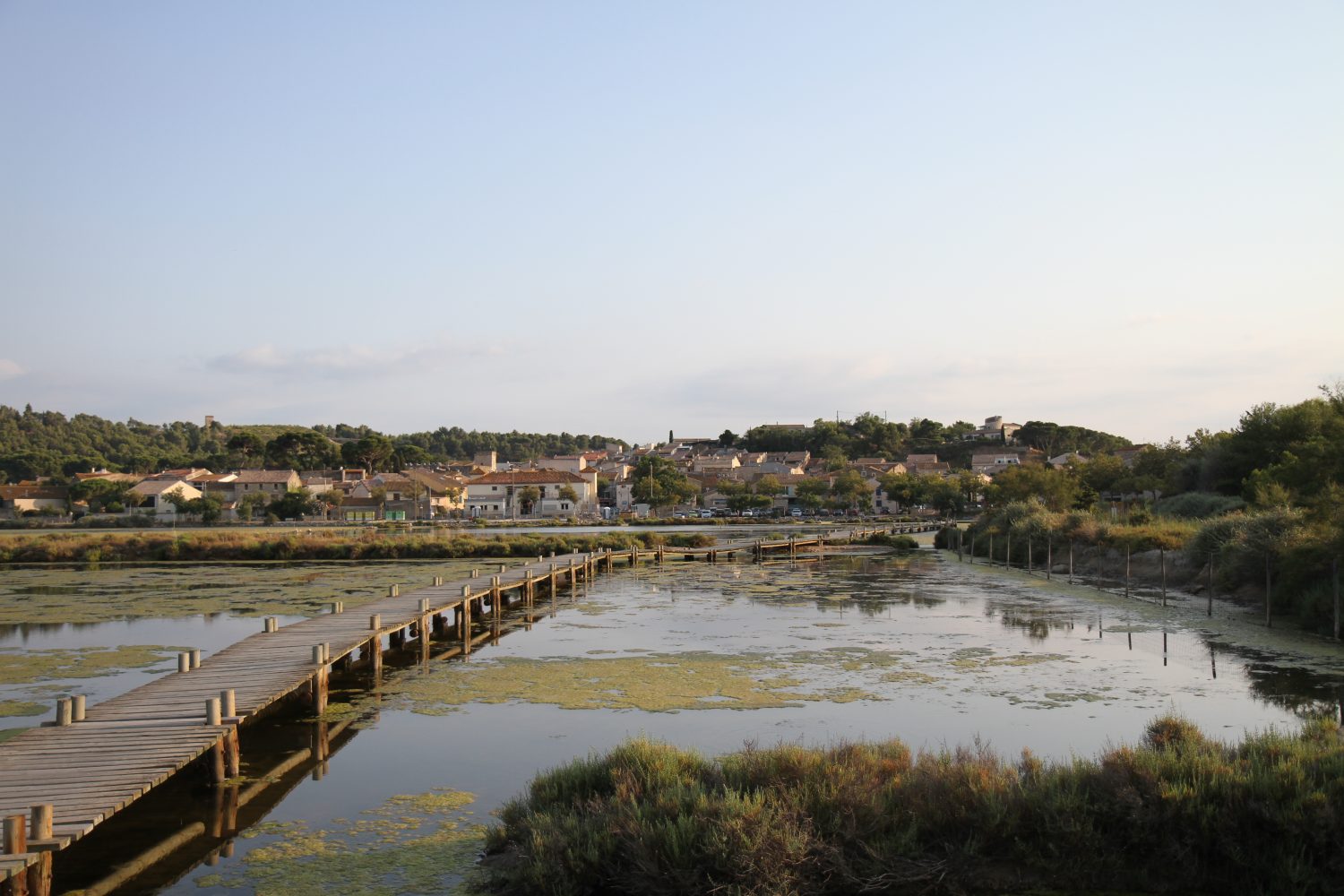 Tour de l'étang de Doul à peyriac-de-mer