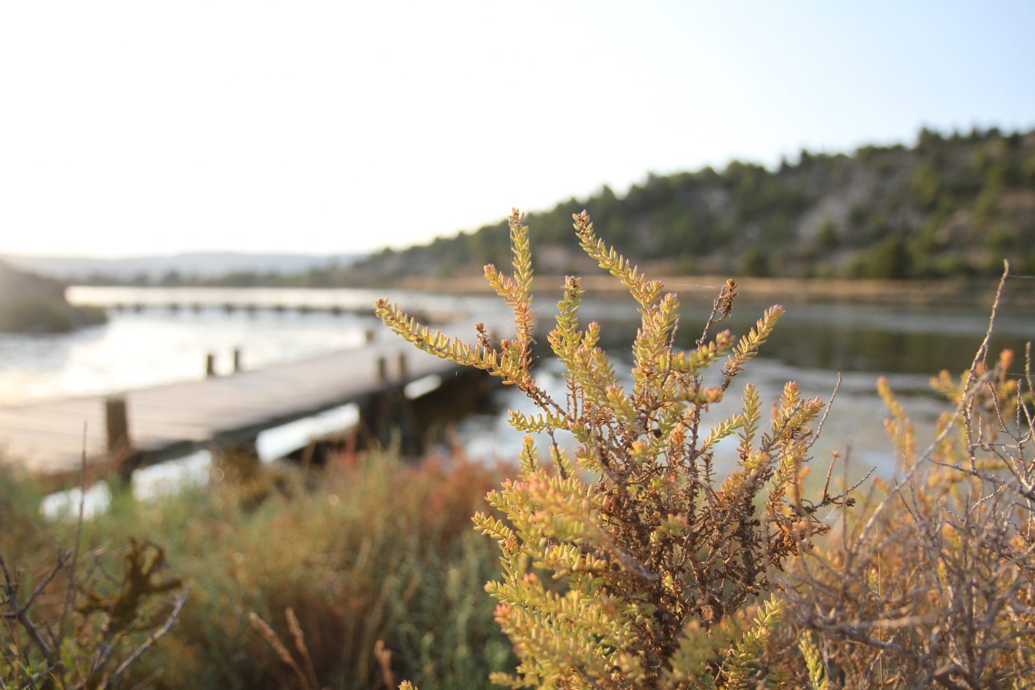 Etang de Doul à peyriac-de-mer