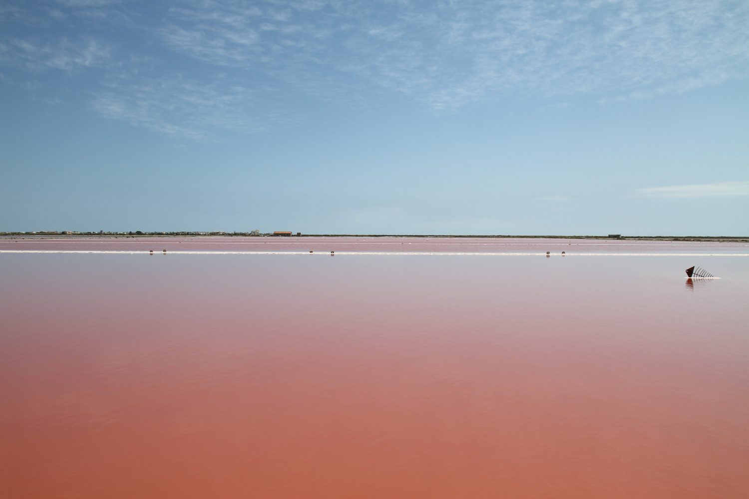 salin de graissant eaux roses