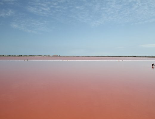 salins de gruissan