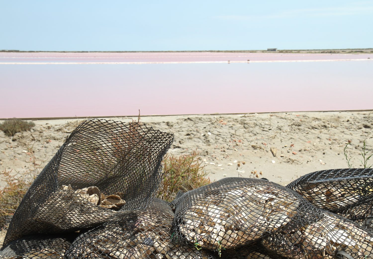 salin de gruissan eau rose