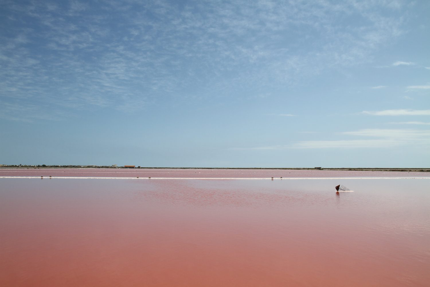 salin de gruissan eau rose