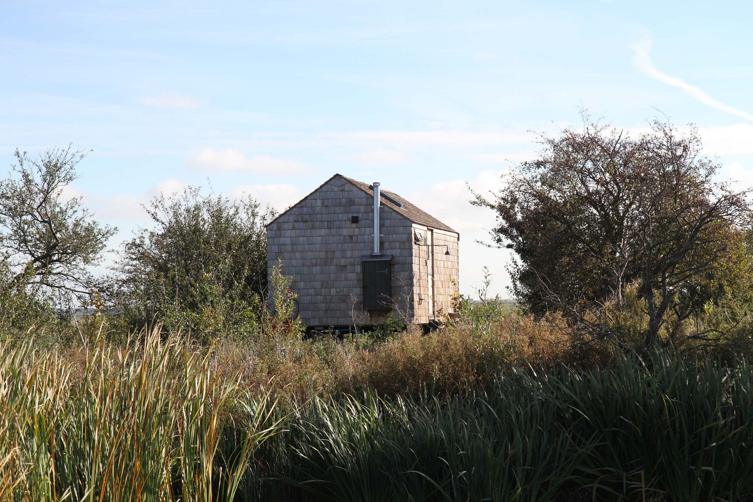 reserve naturelle de elmley kent 