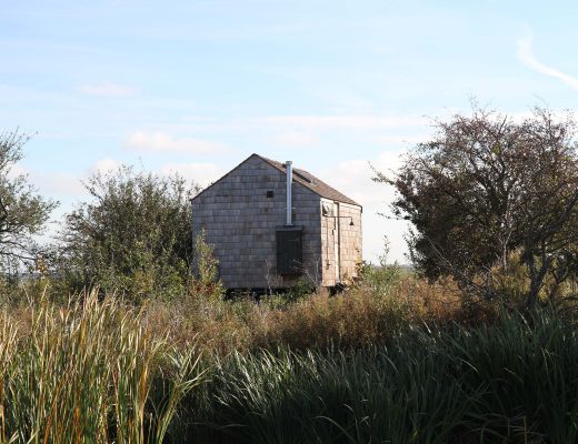 reserve naturelle de elmley kent