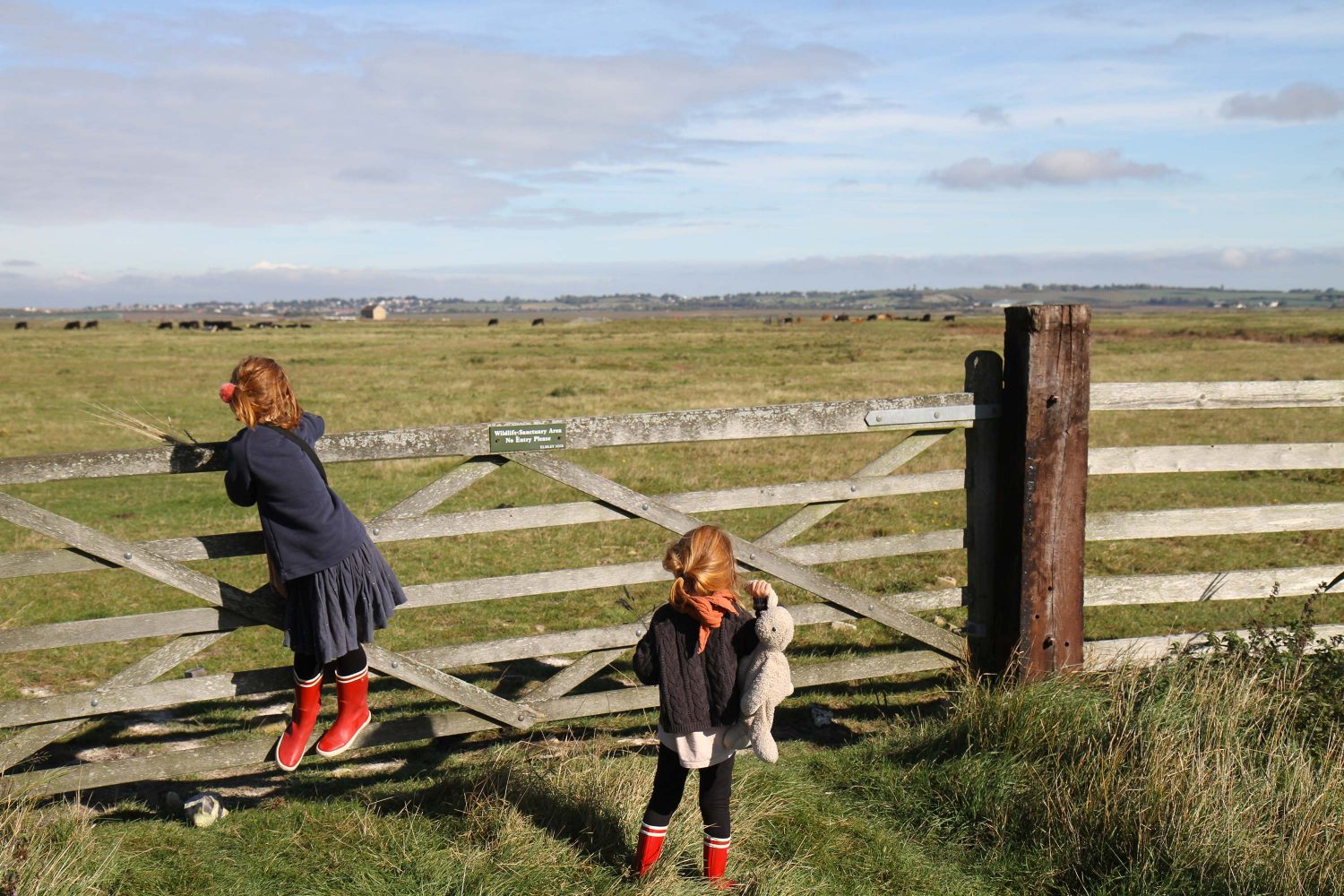 reserve naturelle de elmley kent