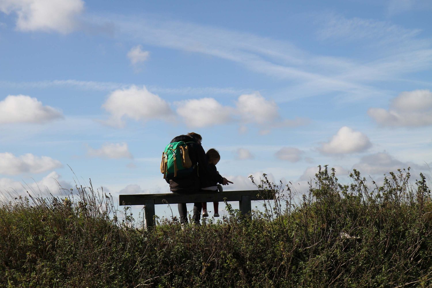 reserve naturelle de elmley kent 