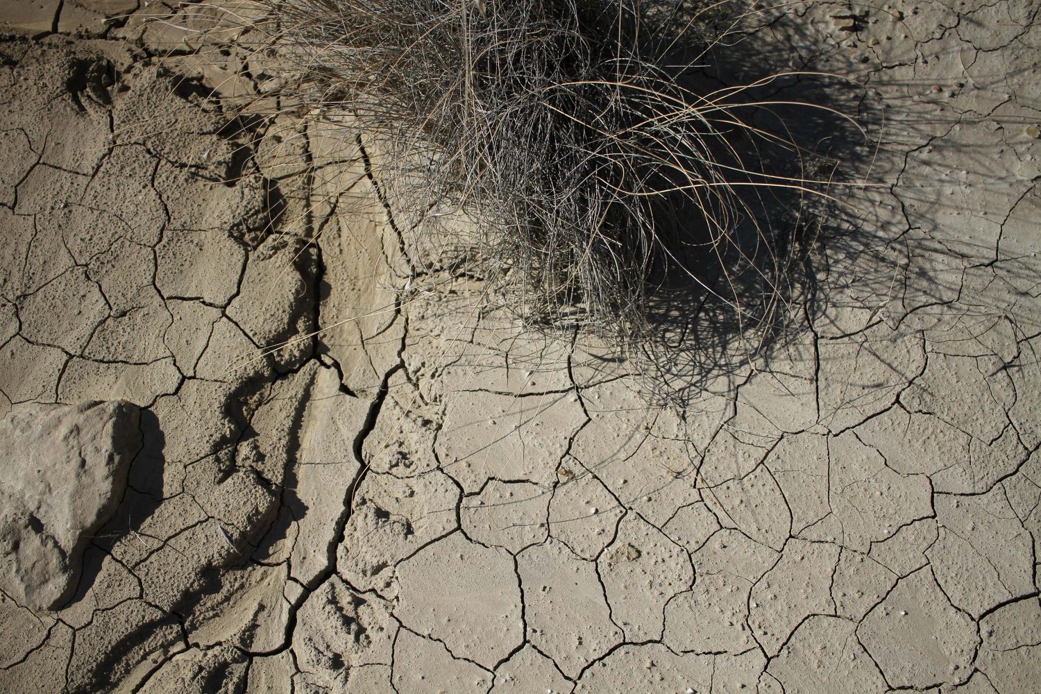 Voyage dans le désert des Bardenas