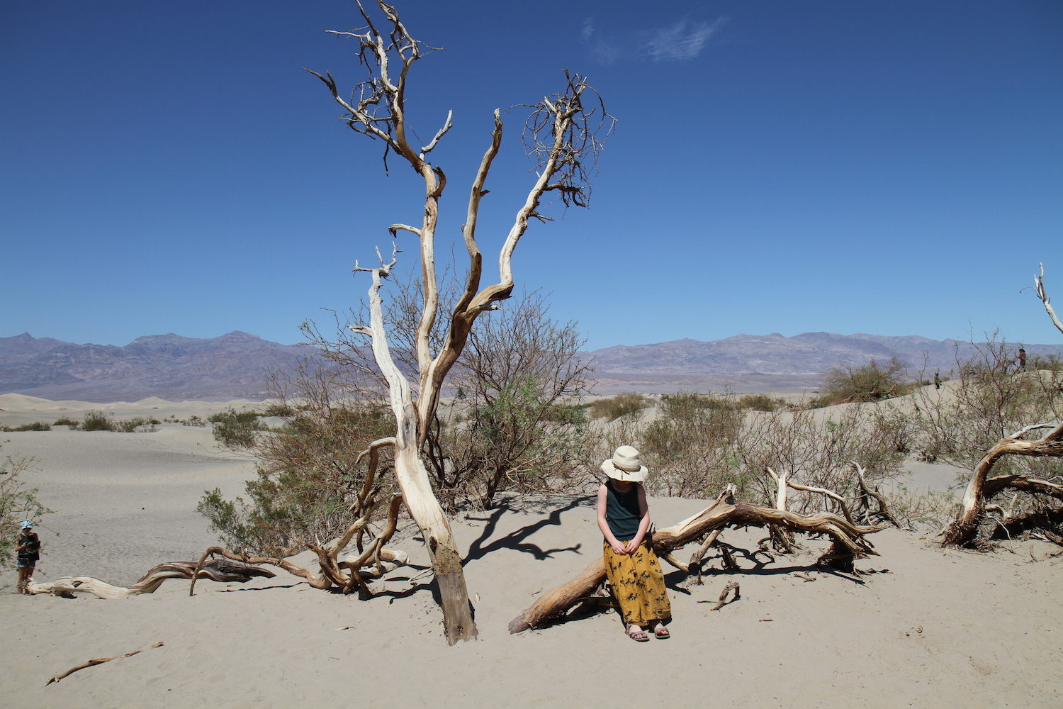 Death Valley 