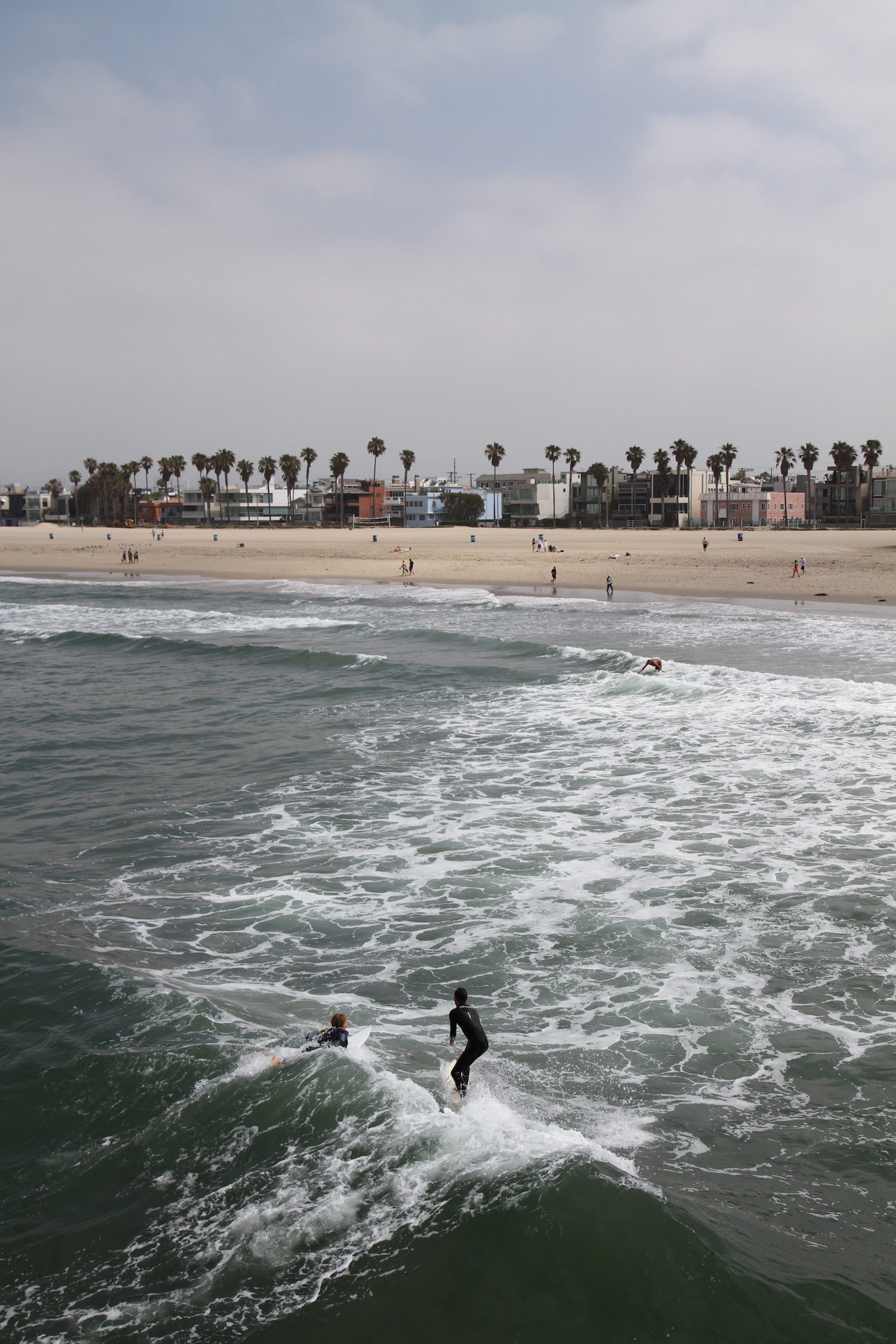 Venice beach 