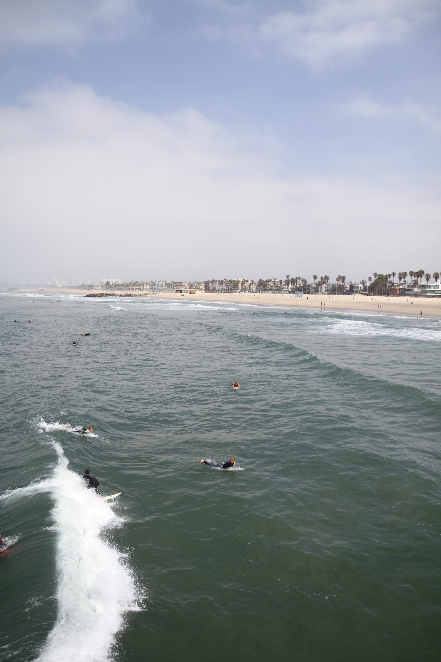 Venice beach 