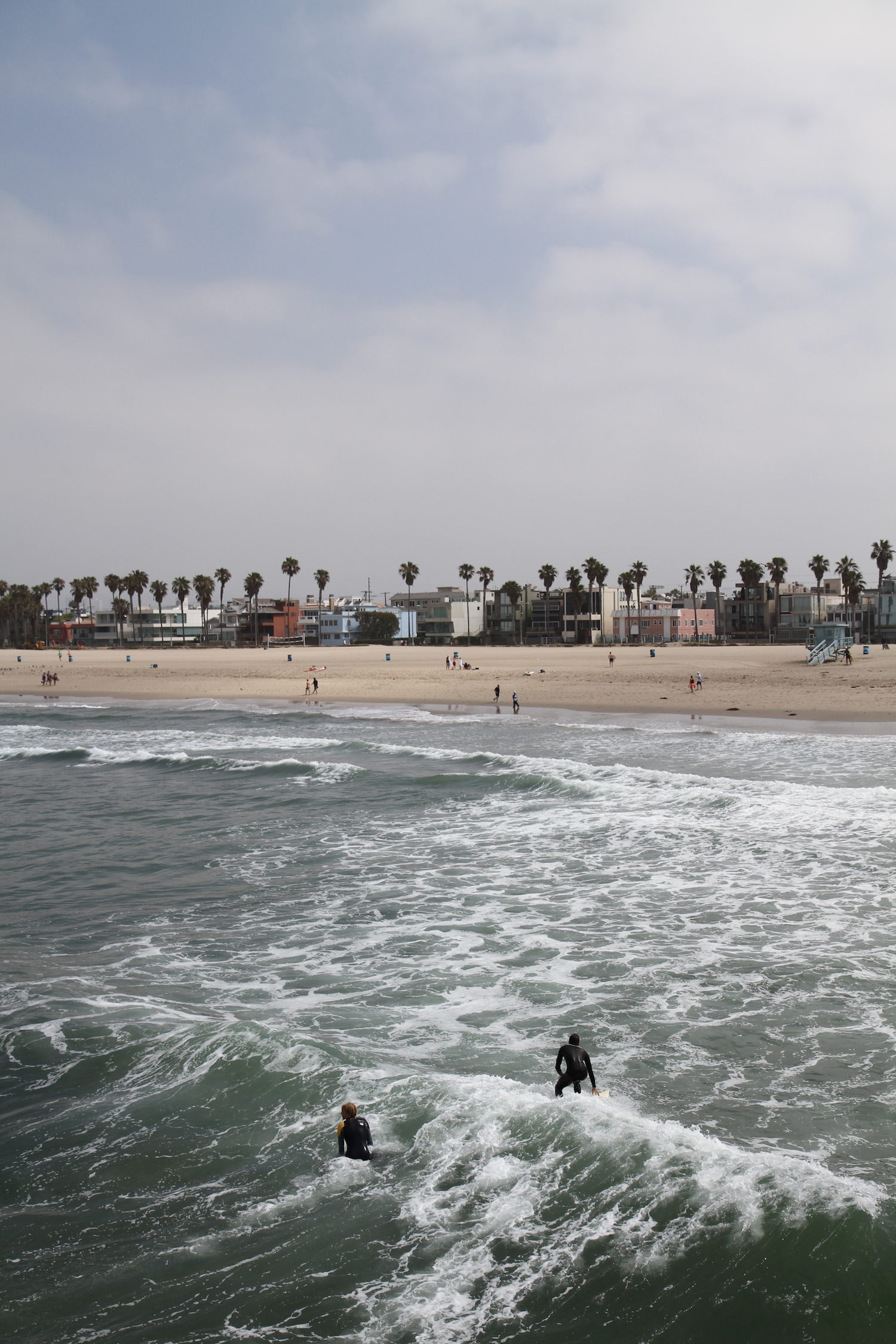 Venice beach 