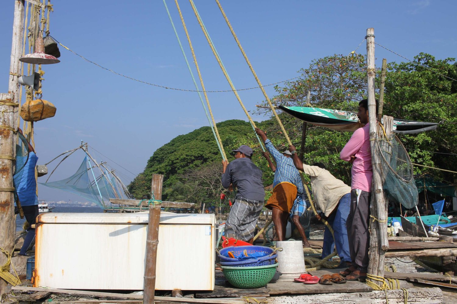 fort Cochin Chinese net 