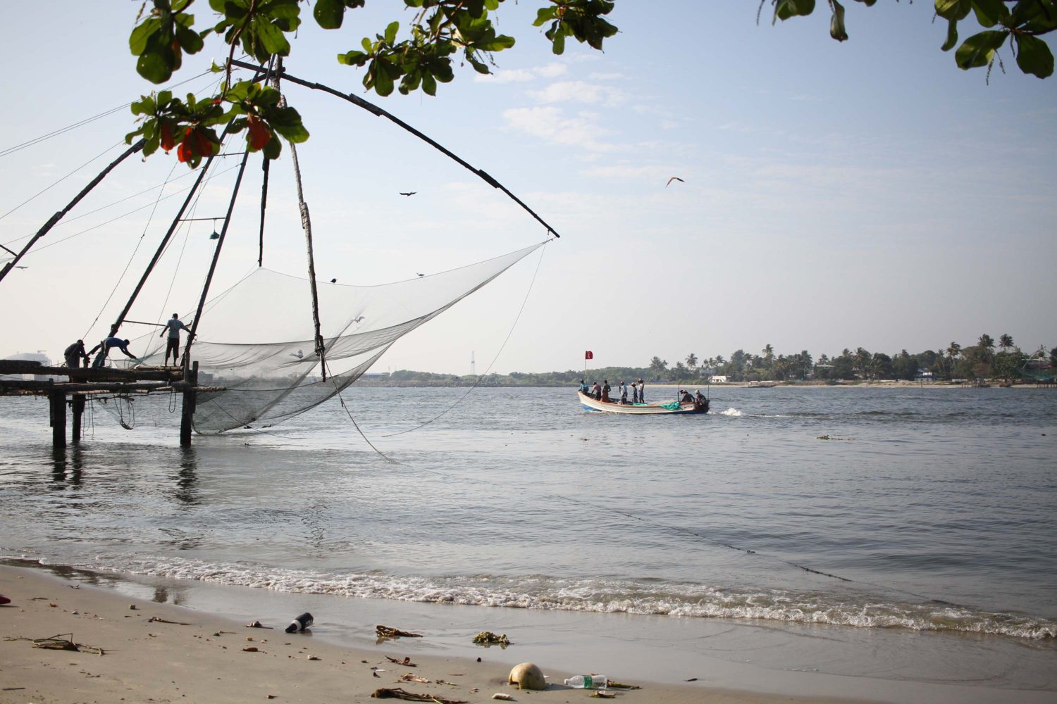 fort Cochin Chinese net 