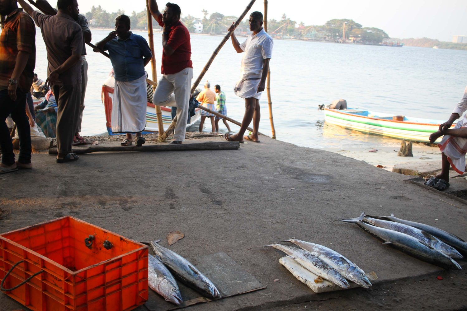 fort cochin 